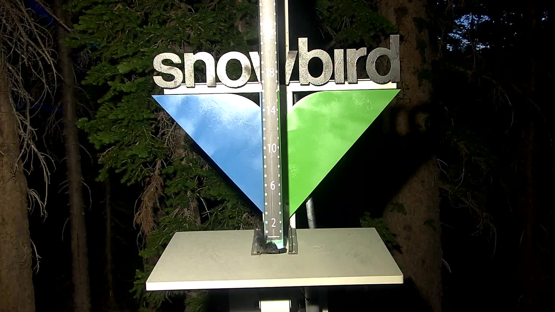 Snowbird snow stake cam