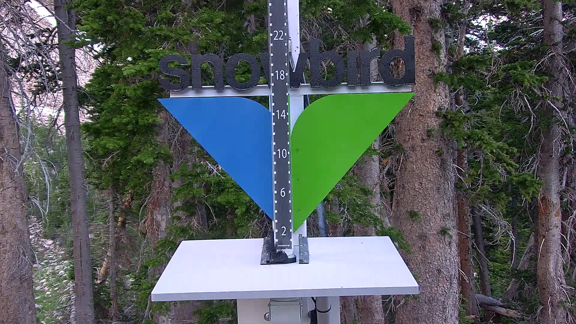 Snowbird snow stake cam