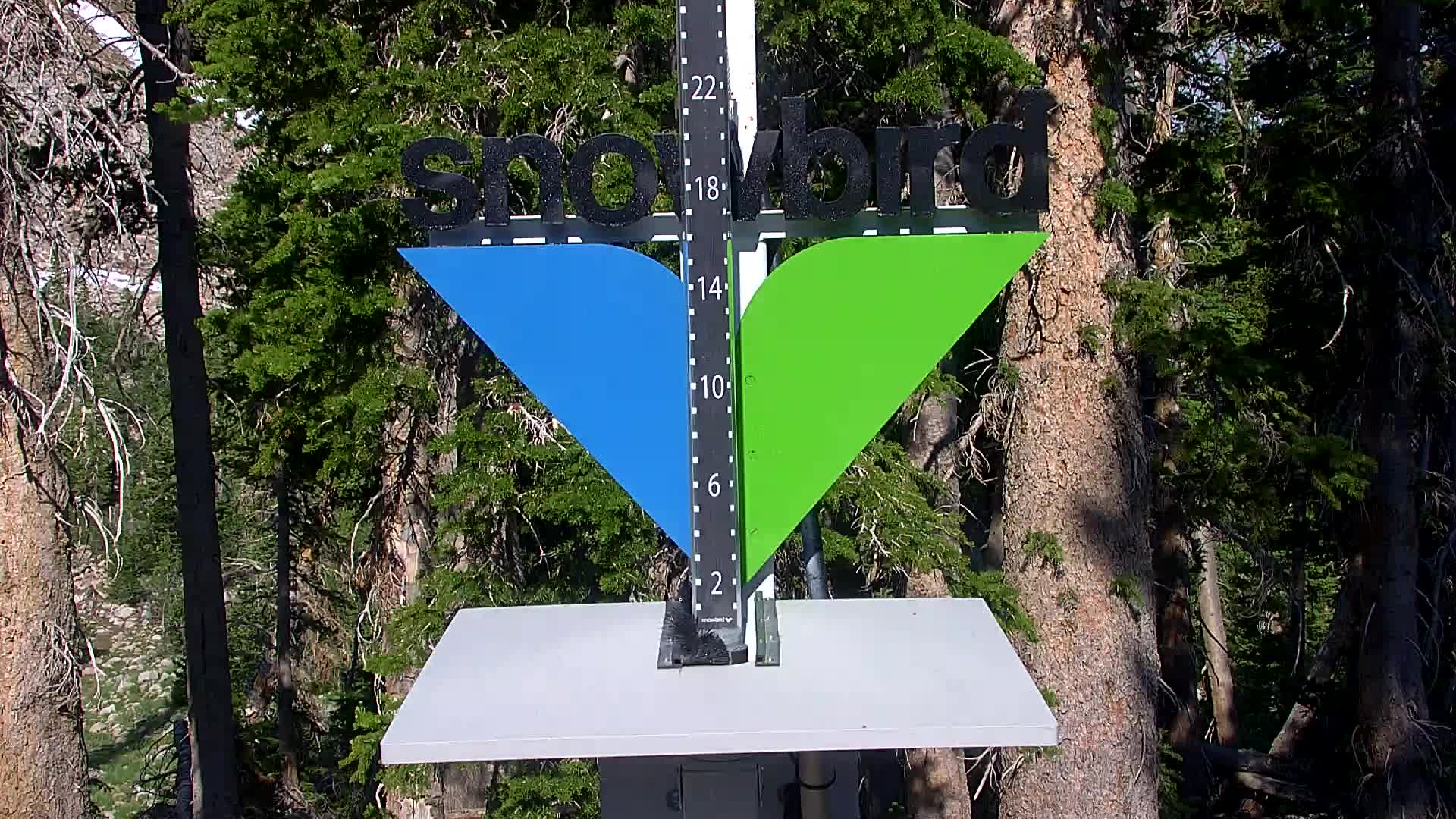 Snowbird snow stake cam