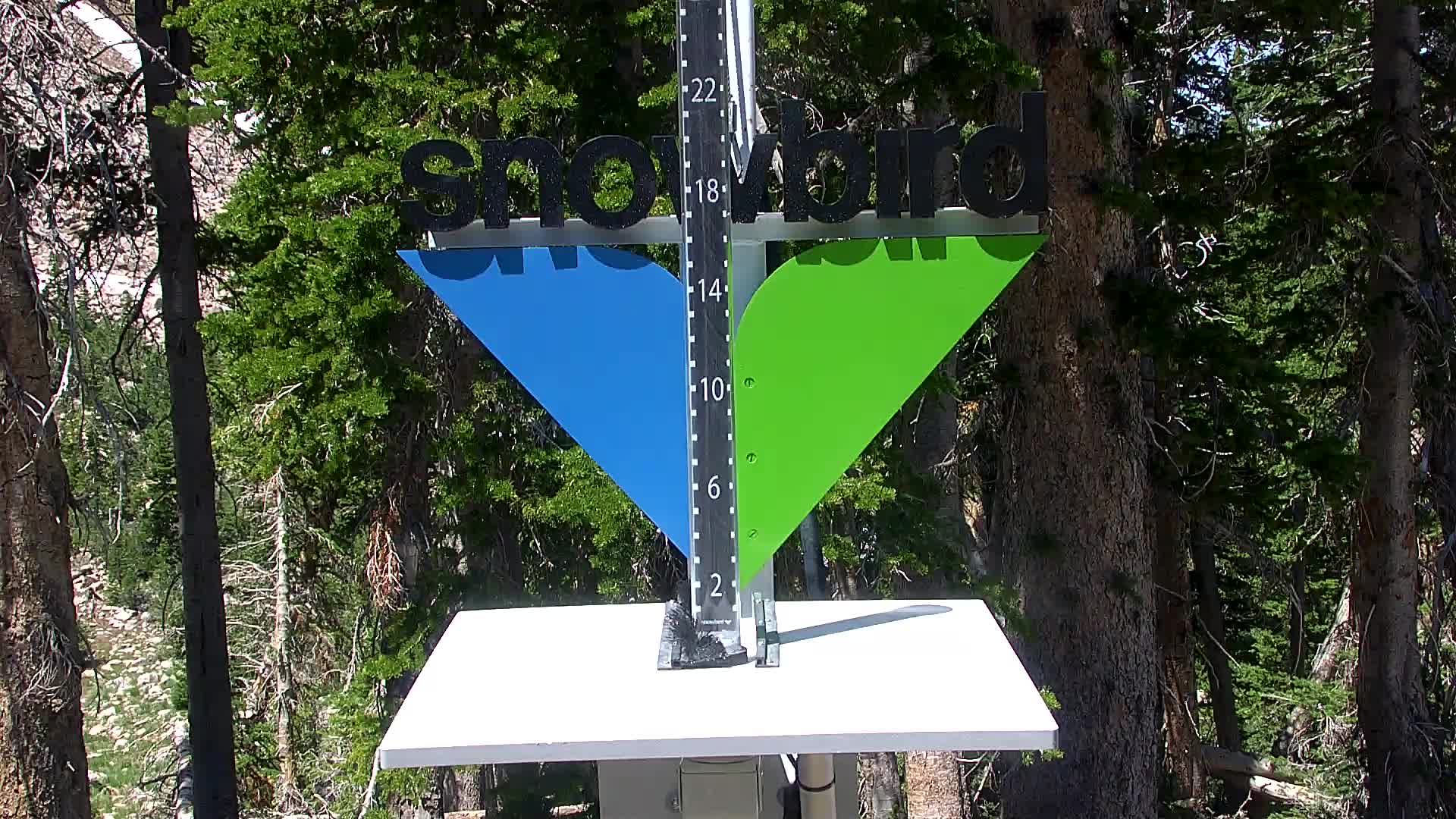 Snowbird snow stake cam