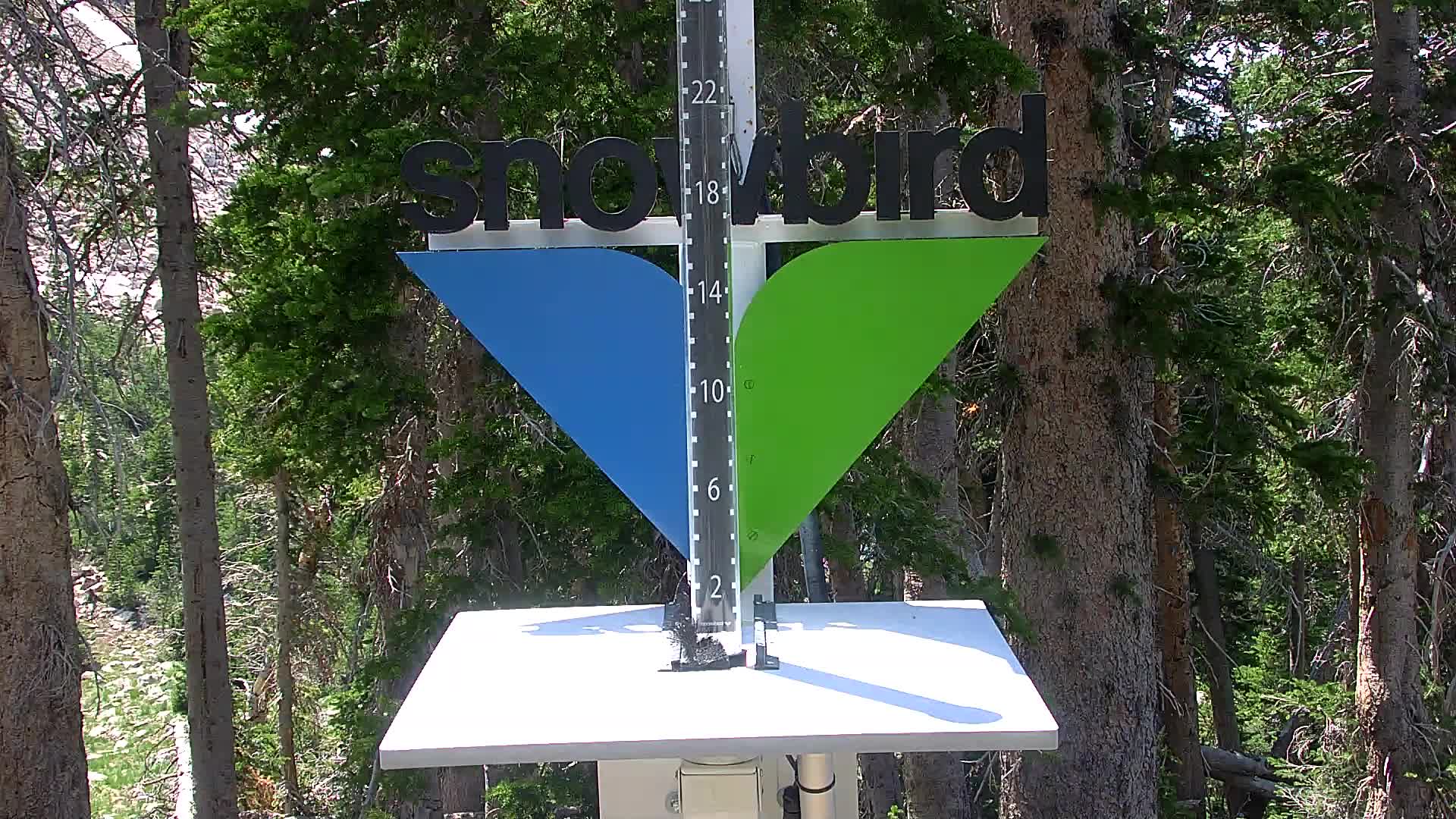 Snowbird snow stake cam