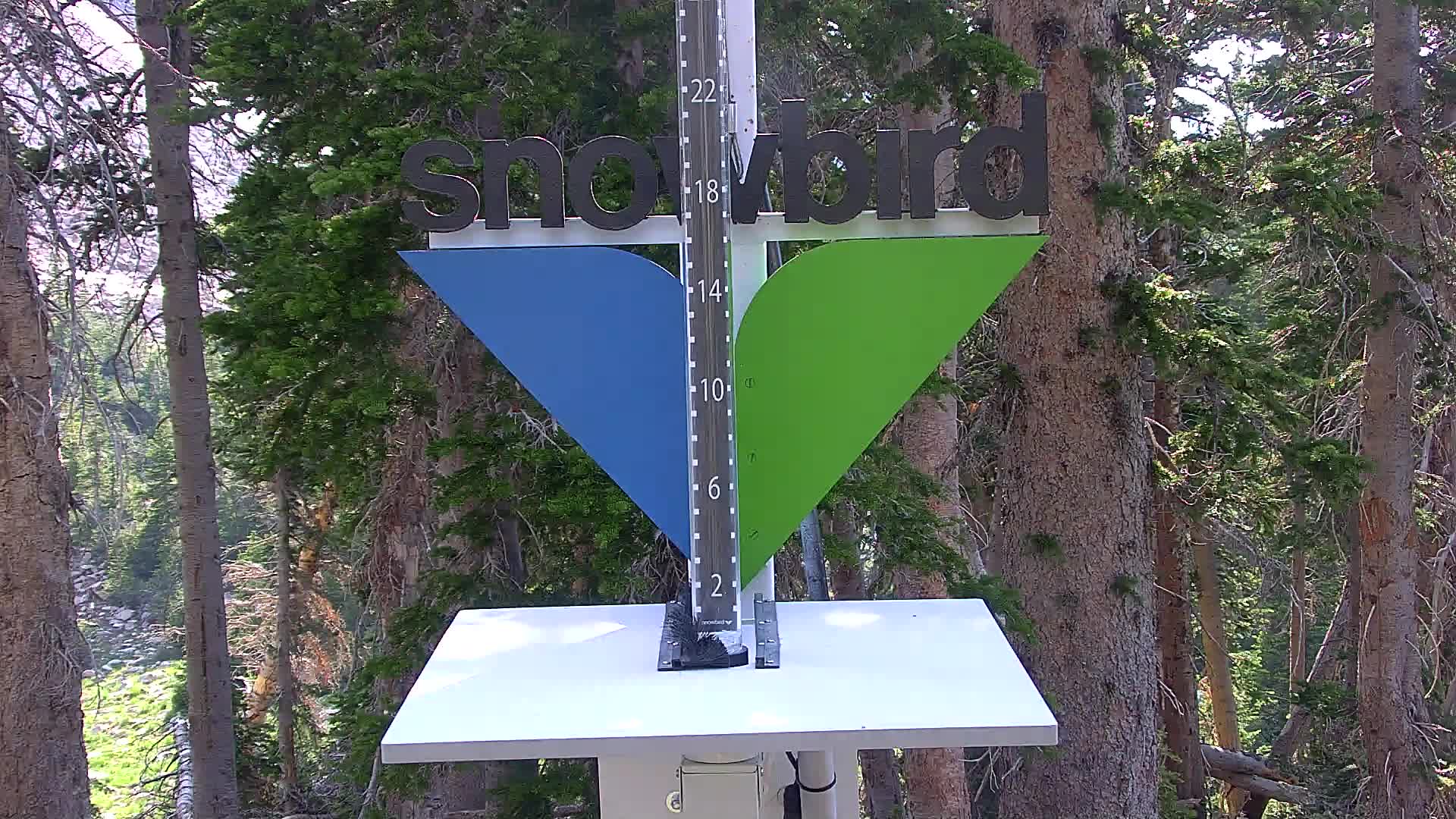 Snowbird snow stake cam