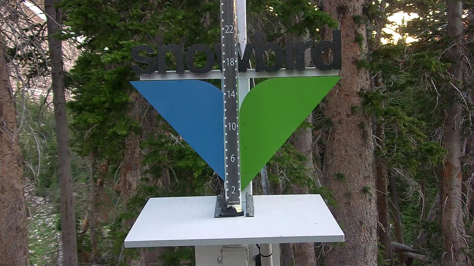 Snowbird snow stake cam