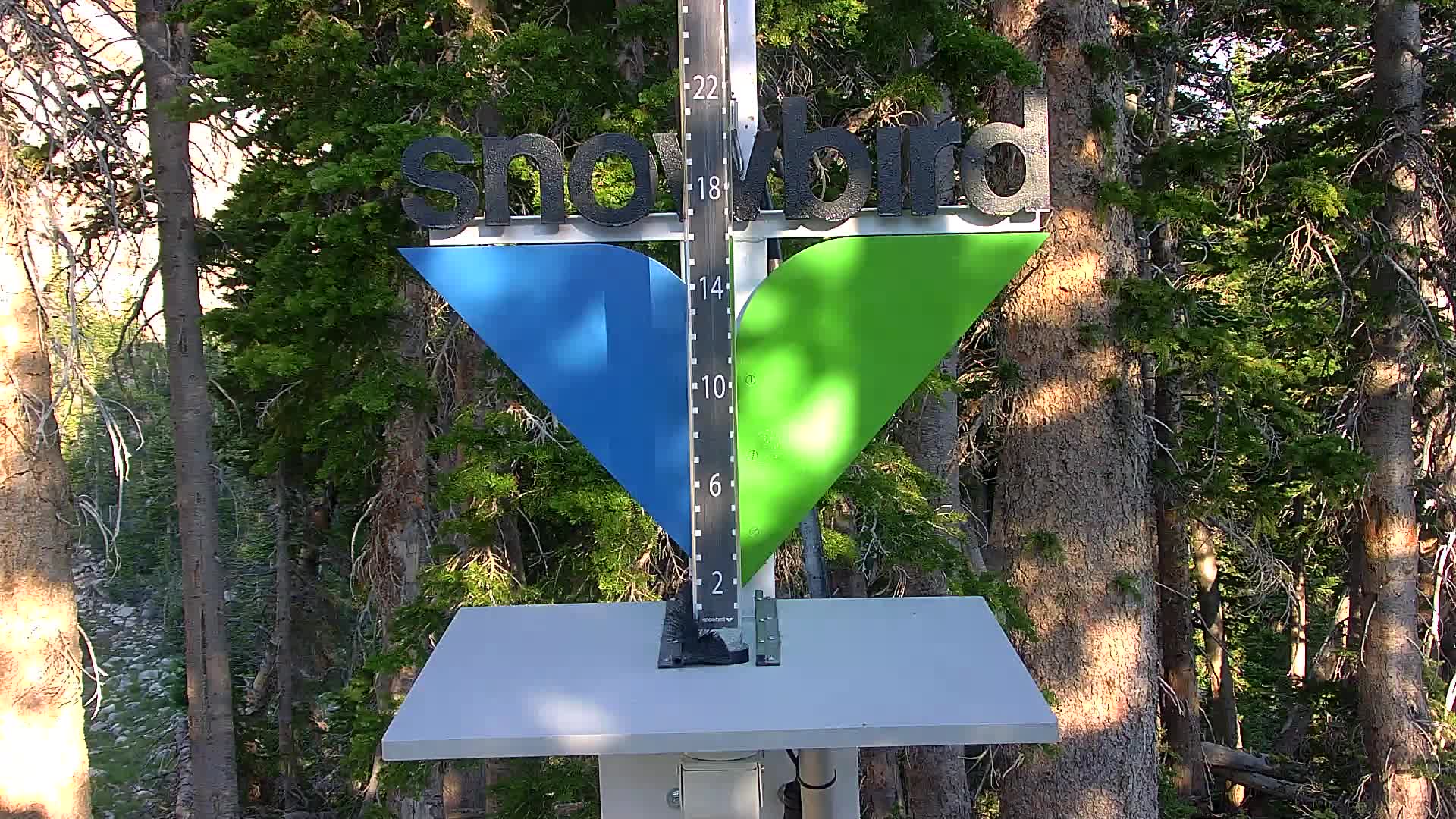 Snowbird snow stake cam