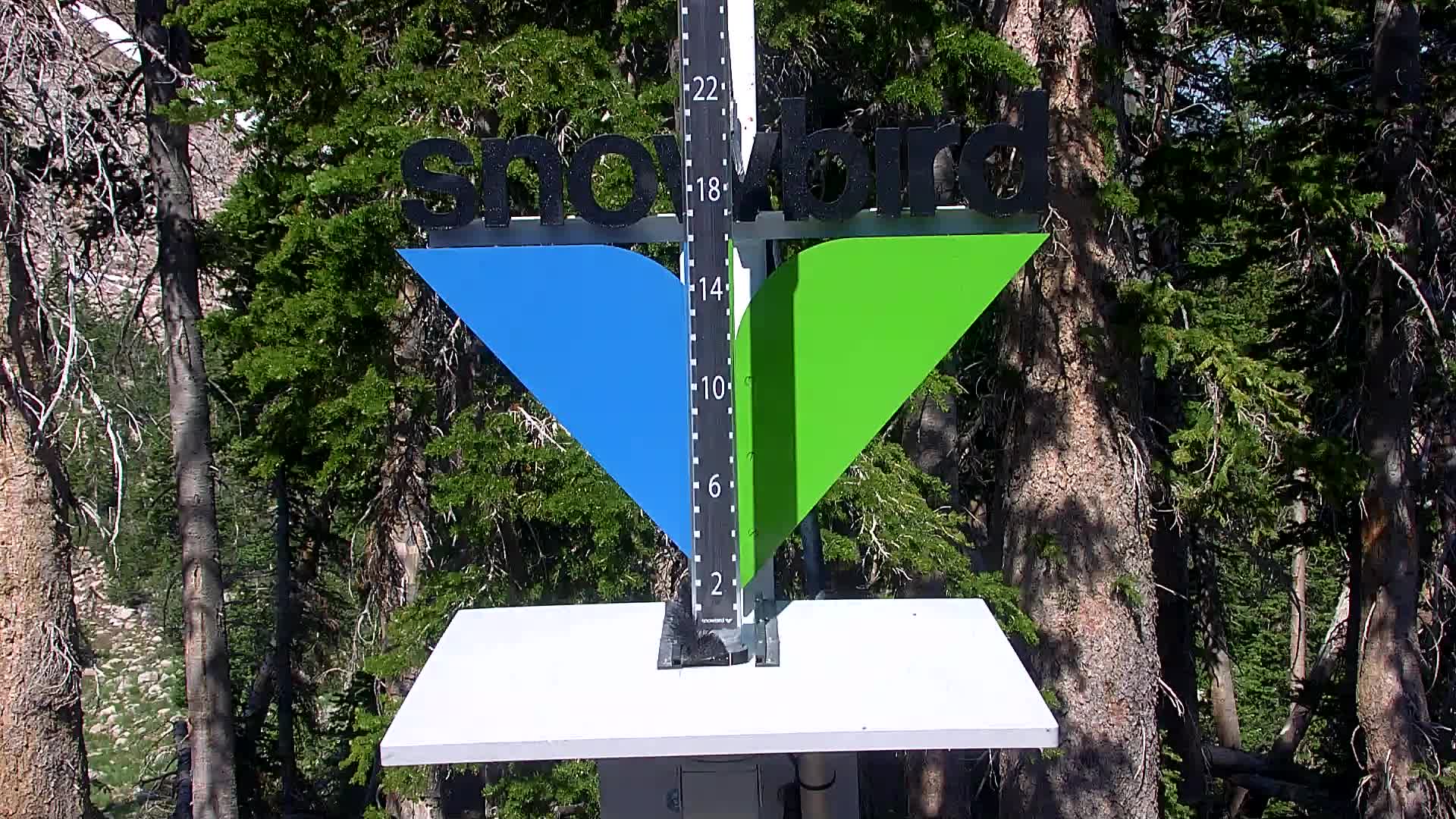 Snowbird snow stake cam