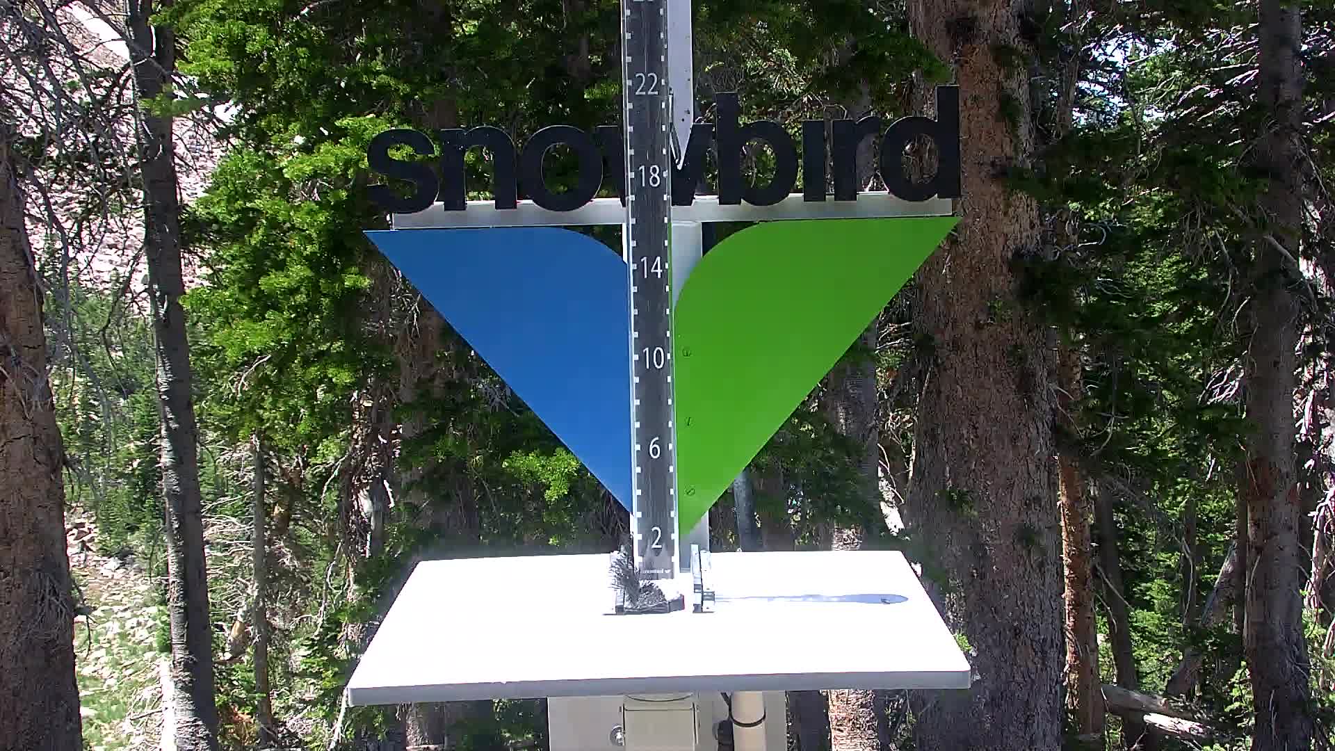 Snowbird snow stake cam