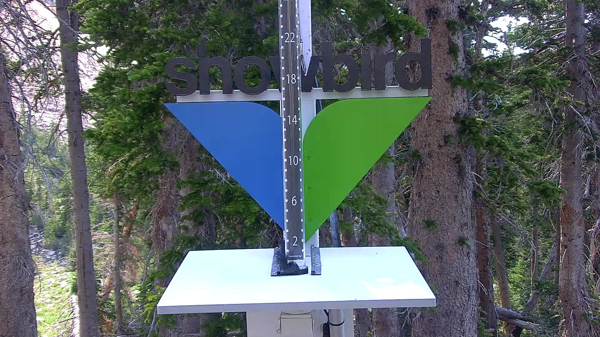 Snowbird snow stake cam