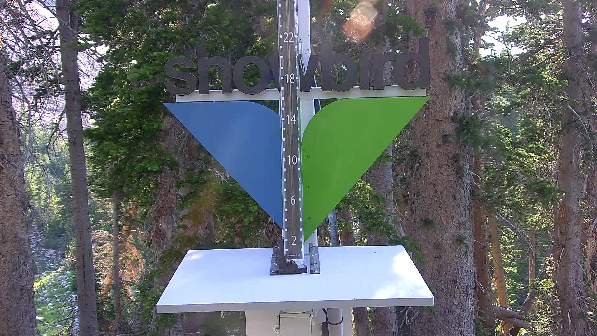 Snowbird snow stake cam