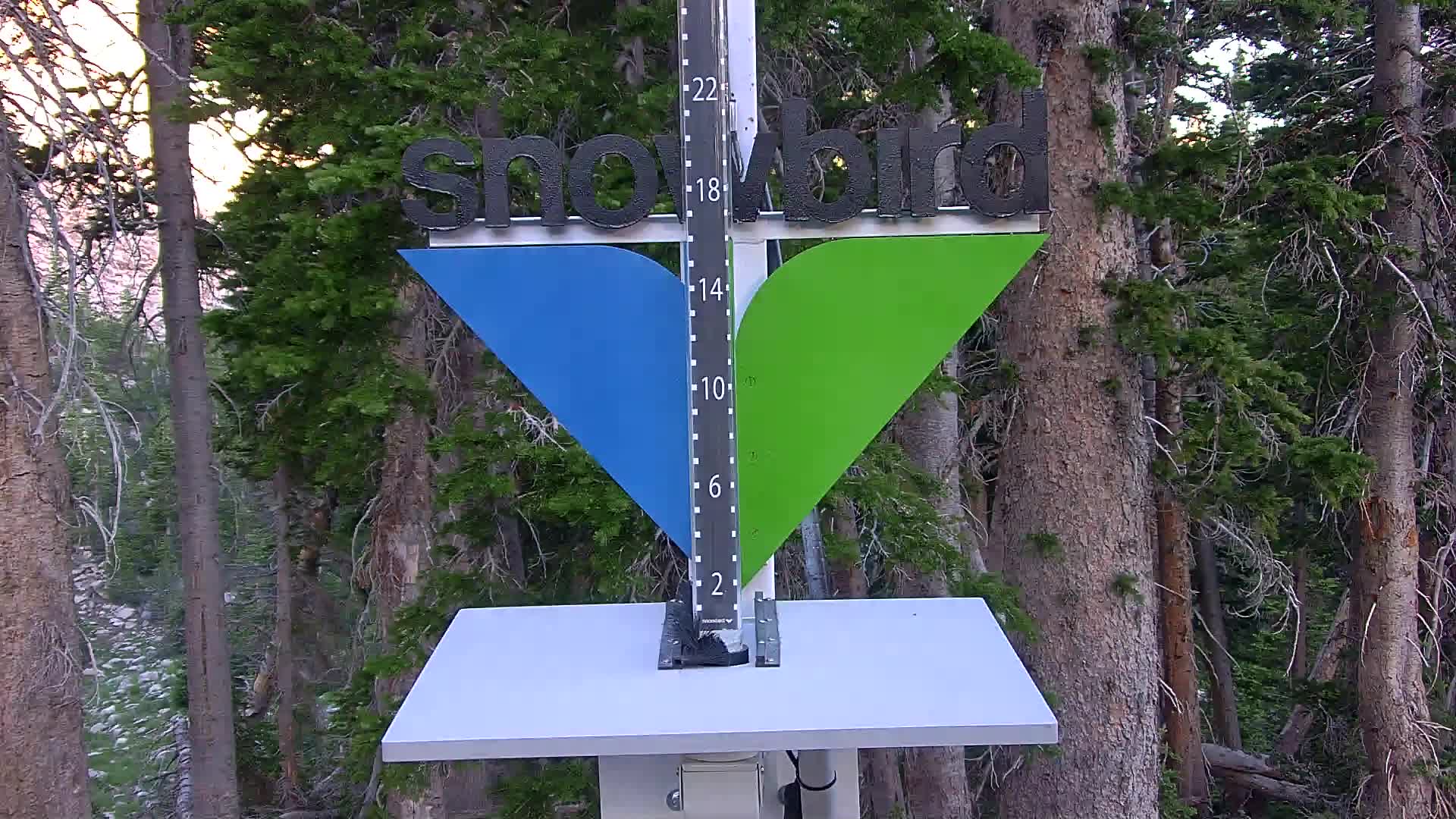 Snowbird snow stake cam