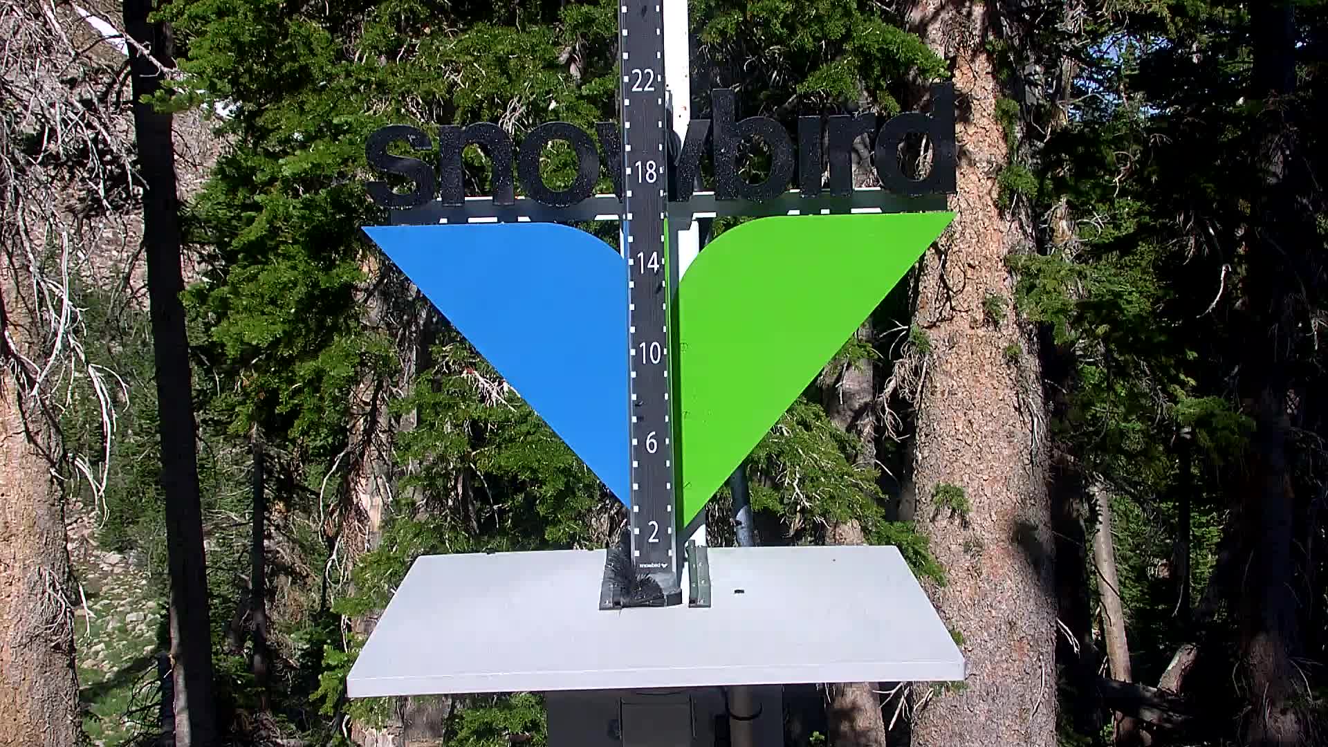 Snowbird snow stake cam