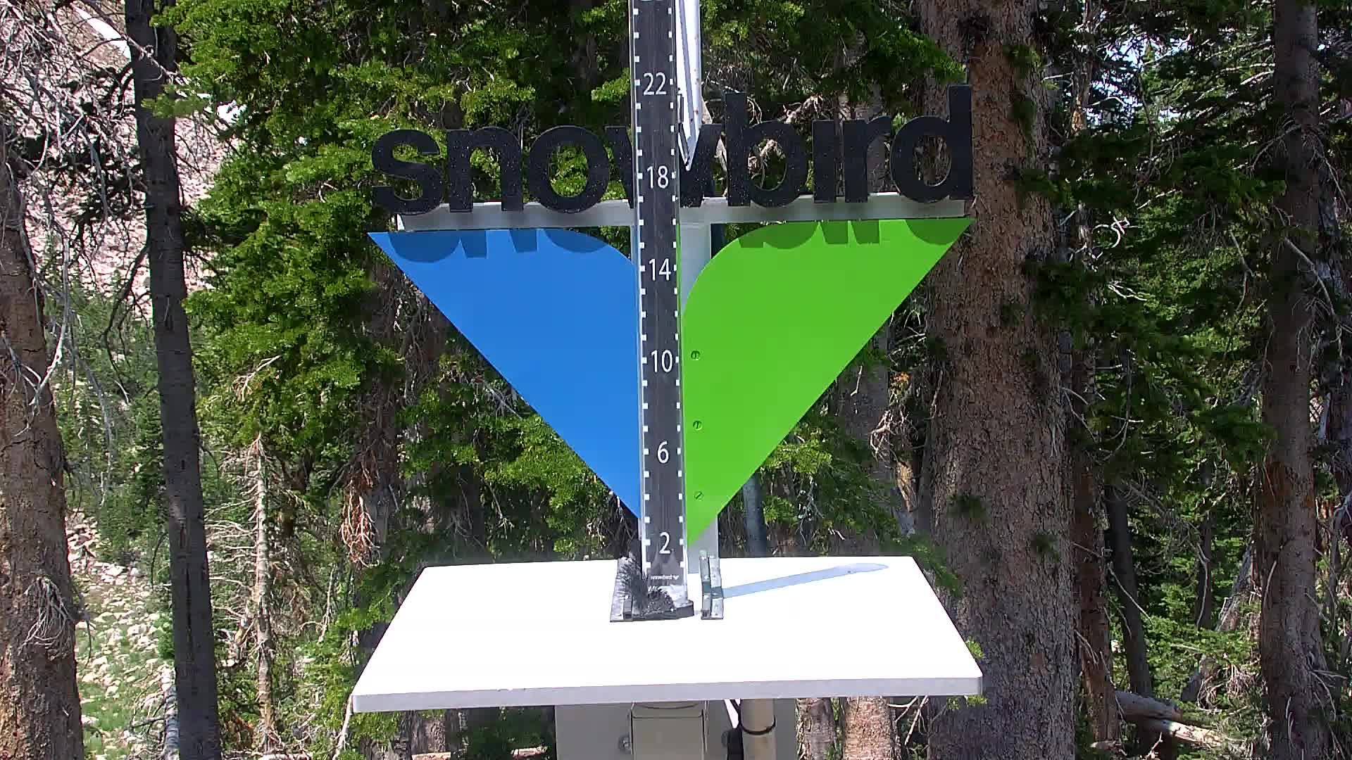 Snowbird snow stake cam