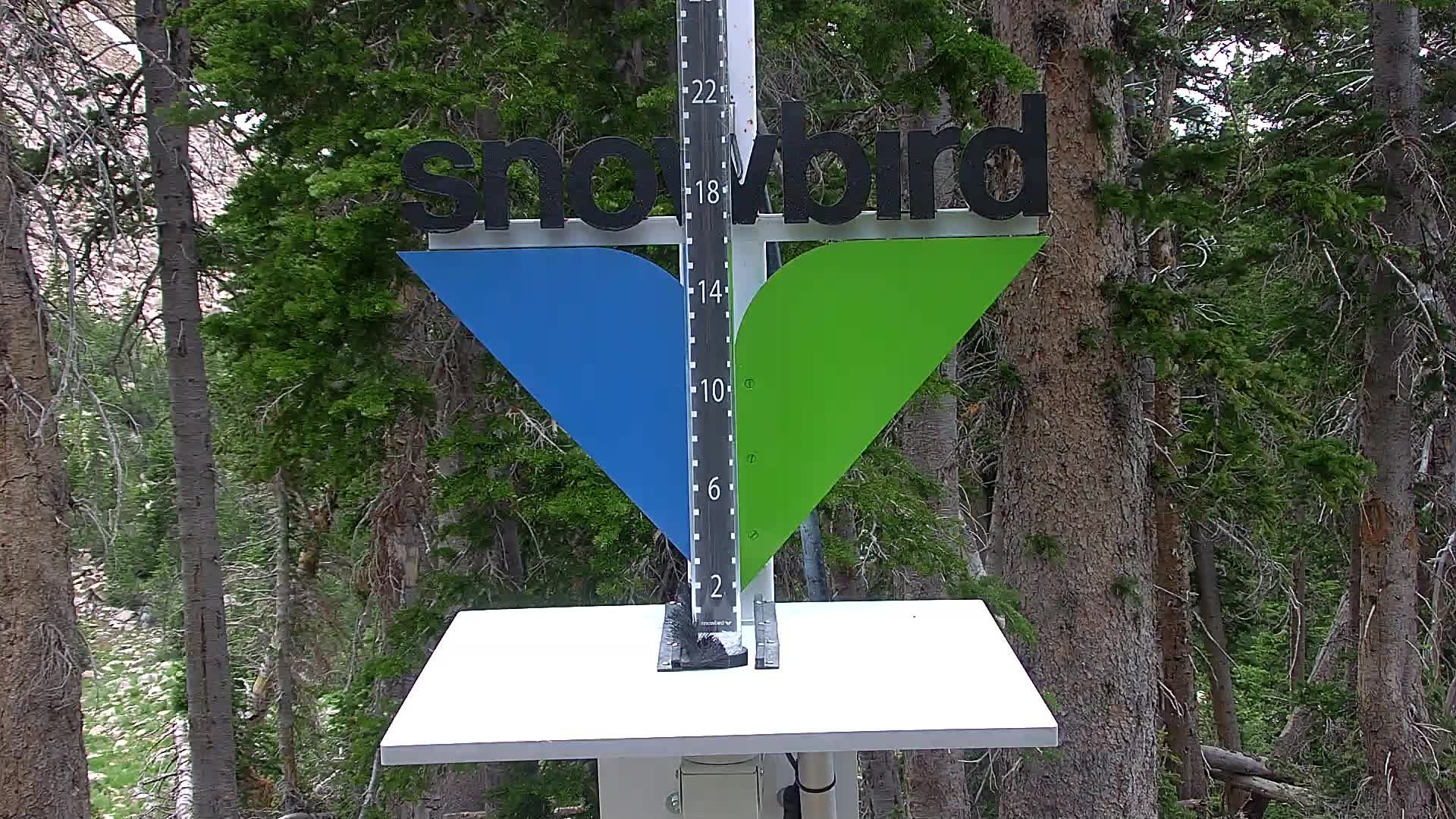 Snowbird snow stake cam