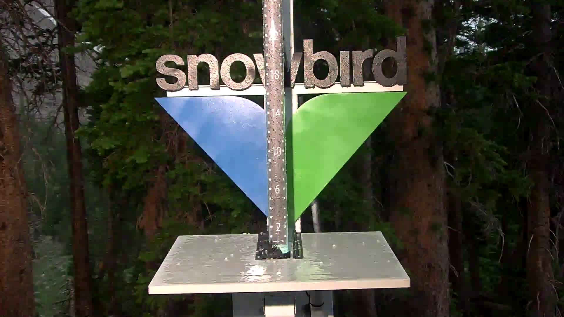 Snowbird snow stake cam