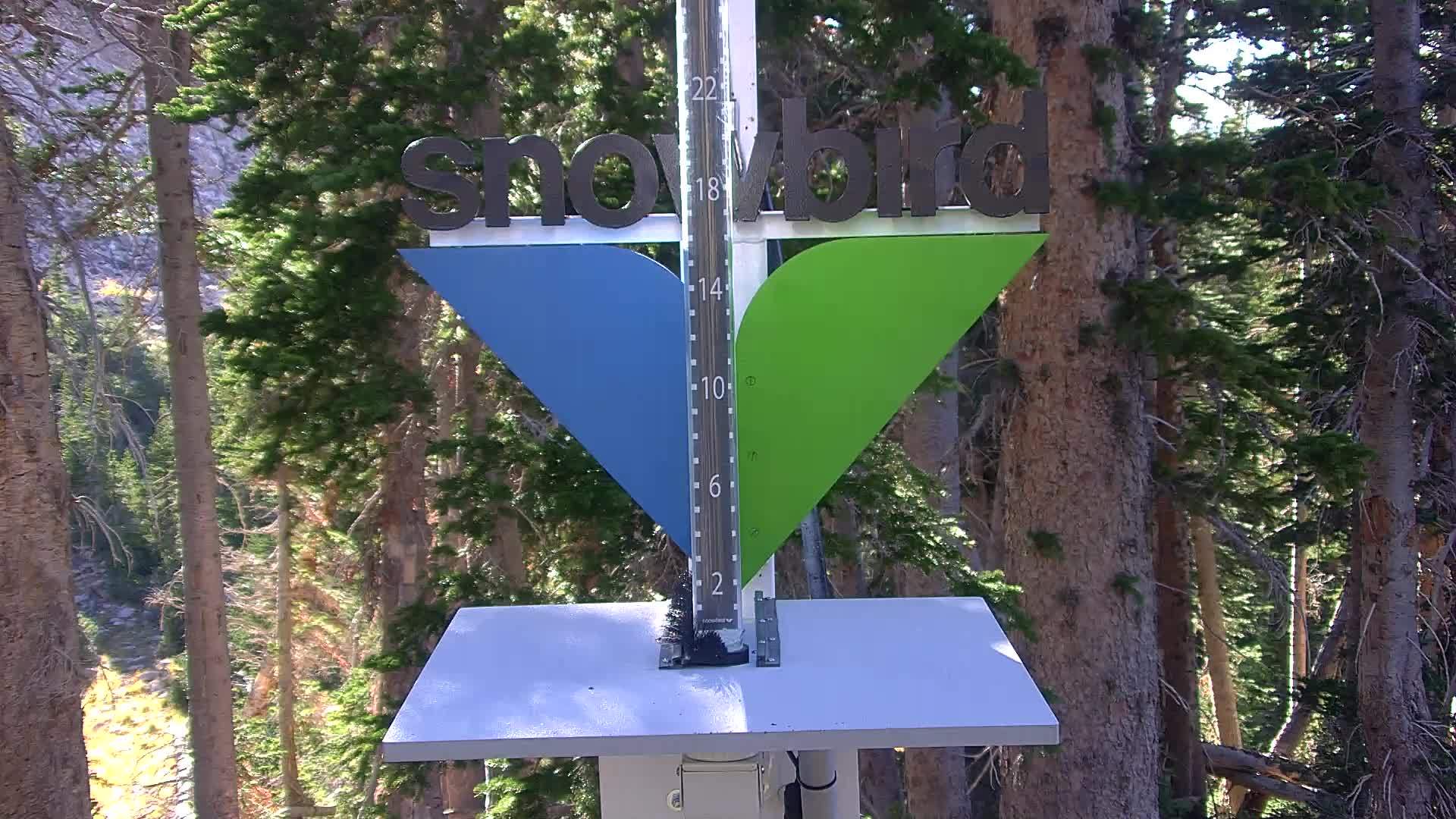 Snowbird snow stake cam