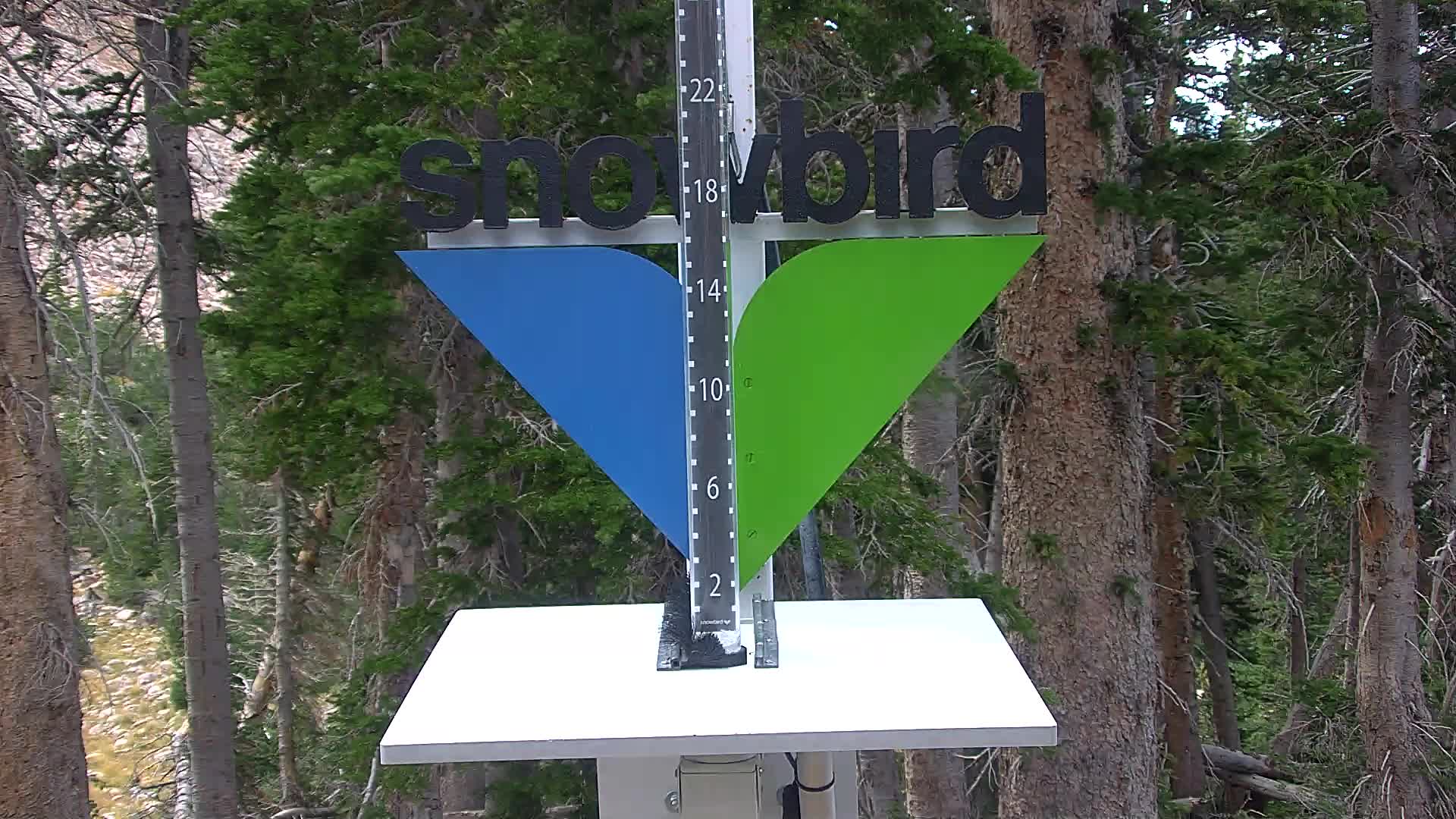 Snowbird snow stake cam