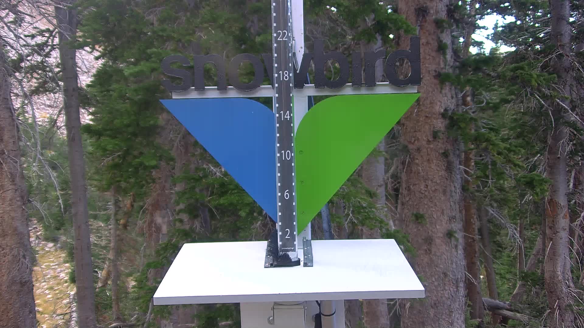 Snowbird snow stake cam