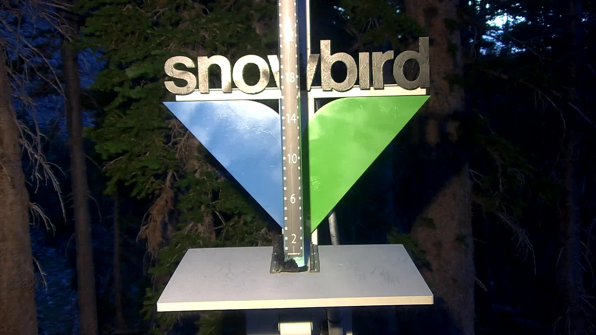 Snowbird snow stake cam