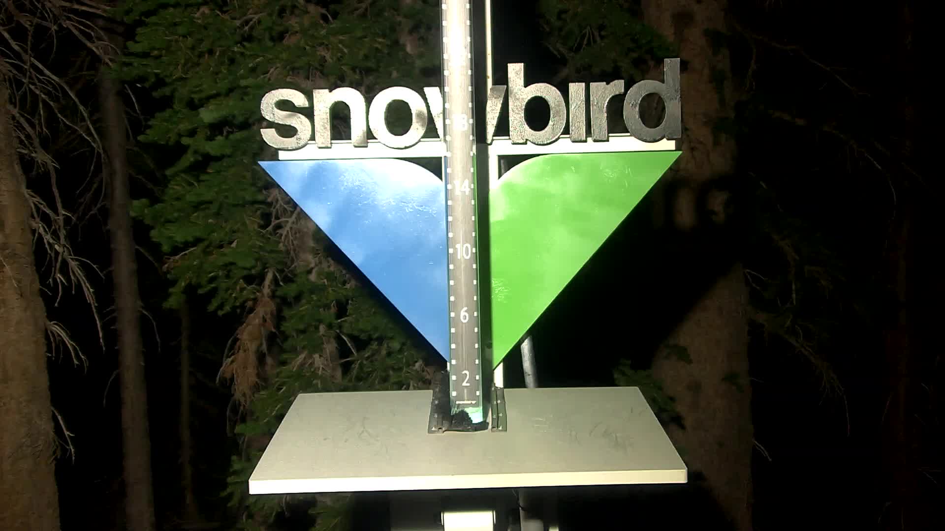 Snowbird snow stake cam