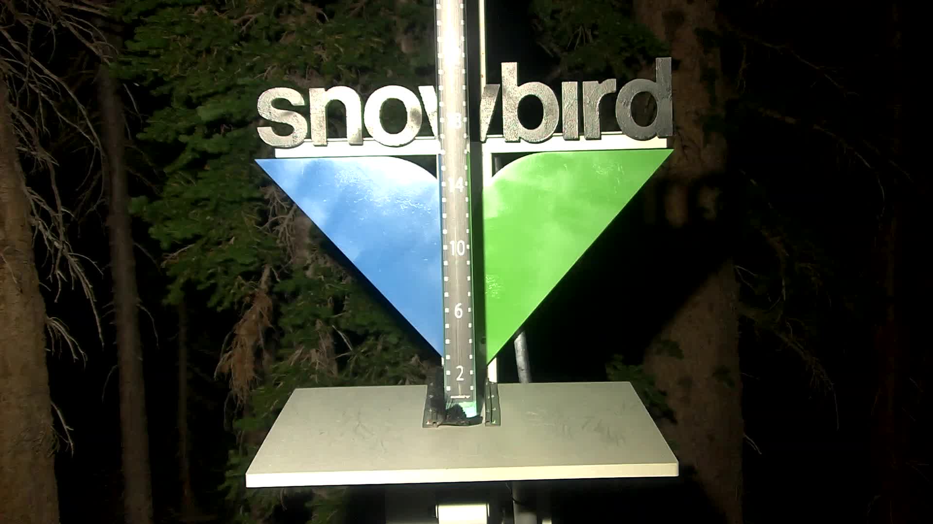 Snowbird snow stake cam