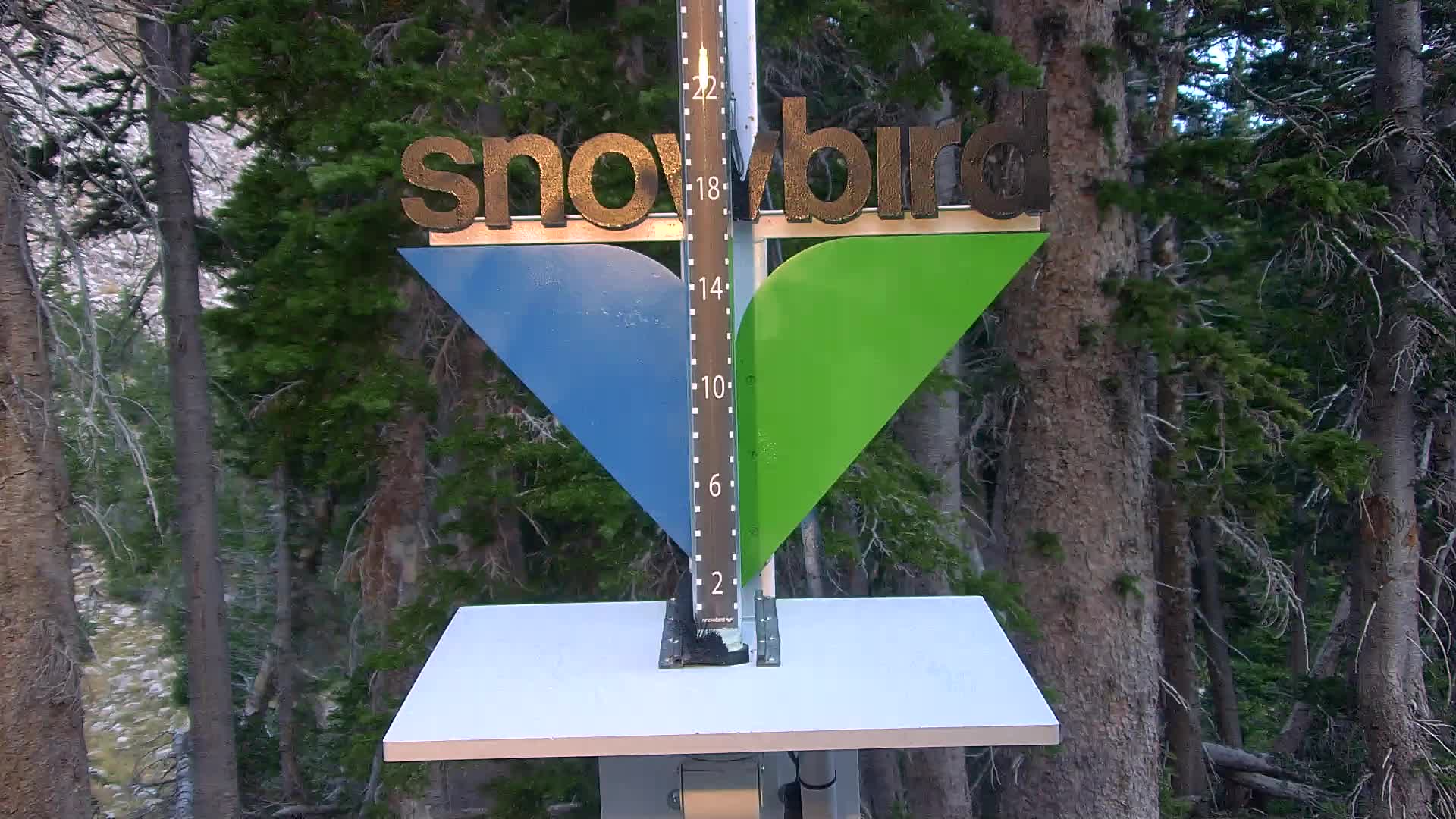 Snowbird snow stake cam