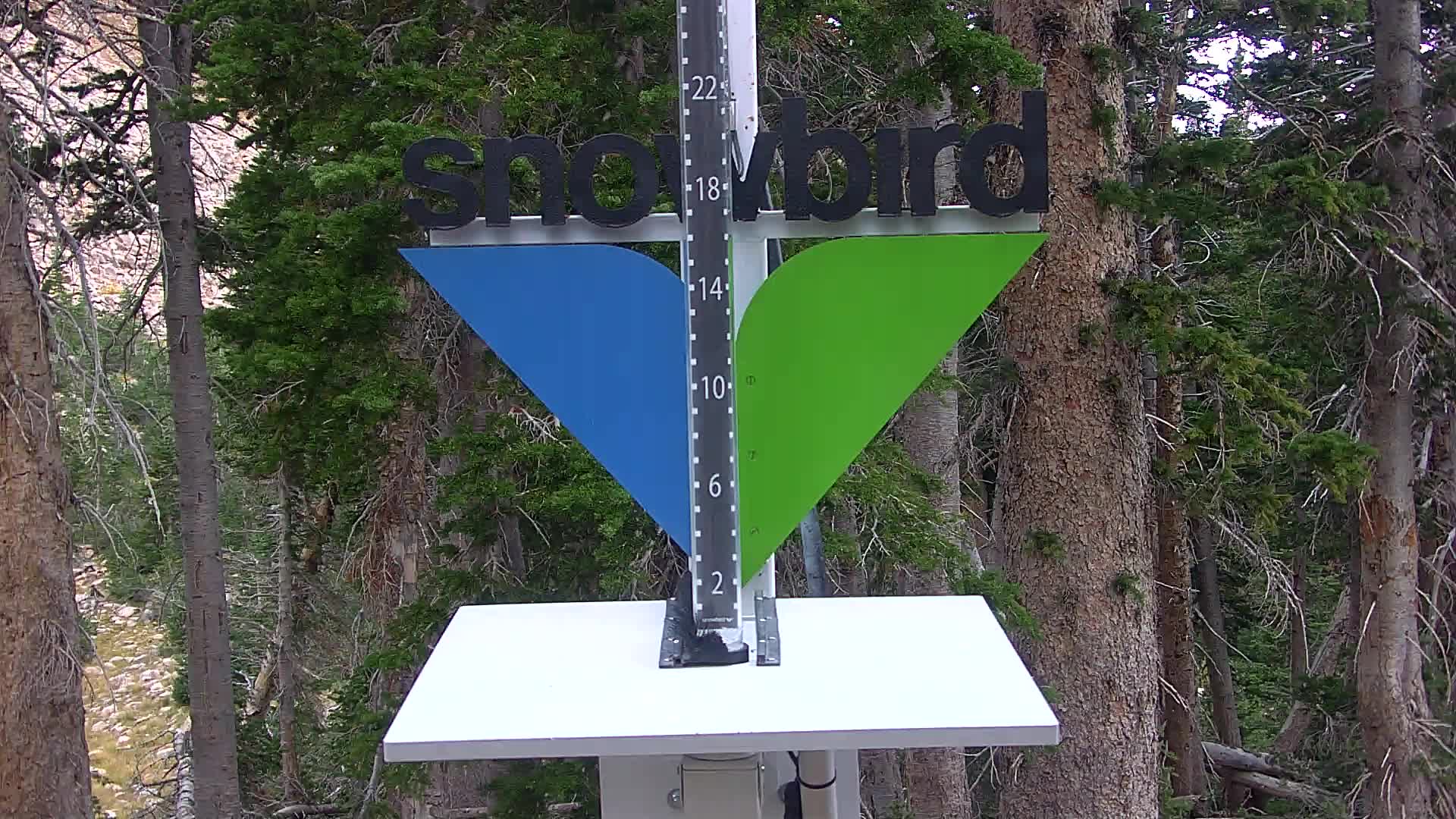 Snowbird snow stake cam