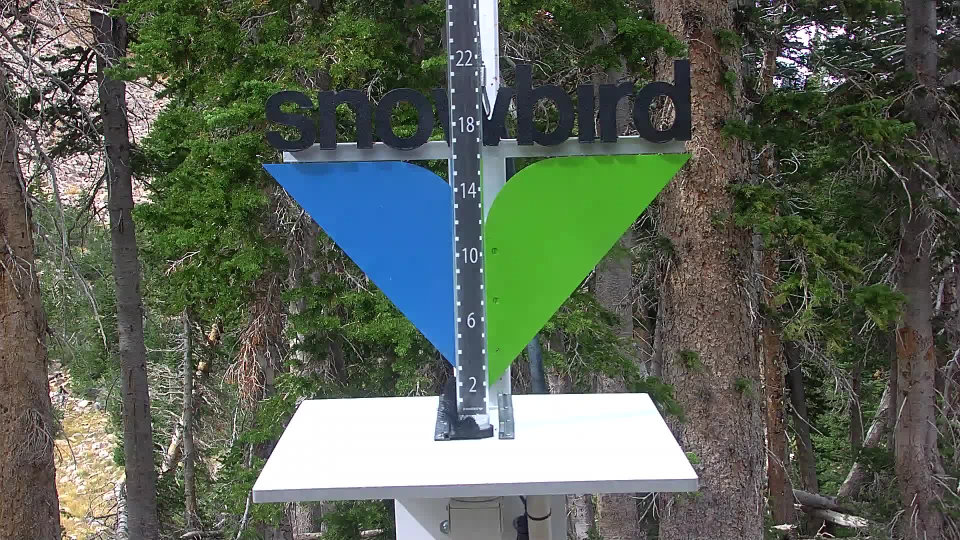 Snowbird snow stake cam