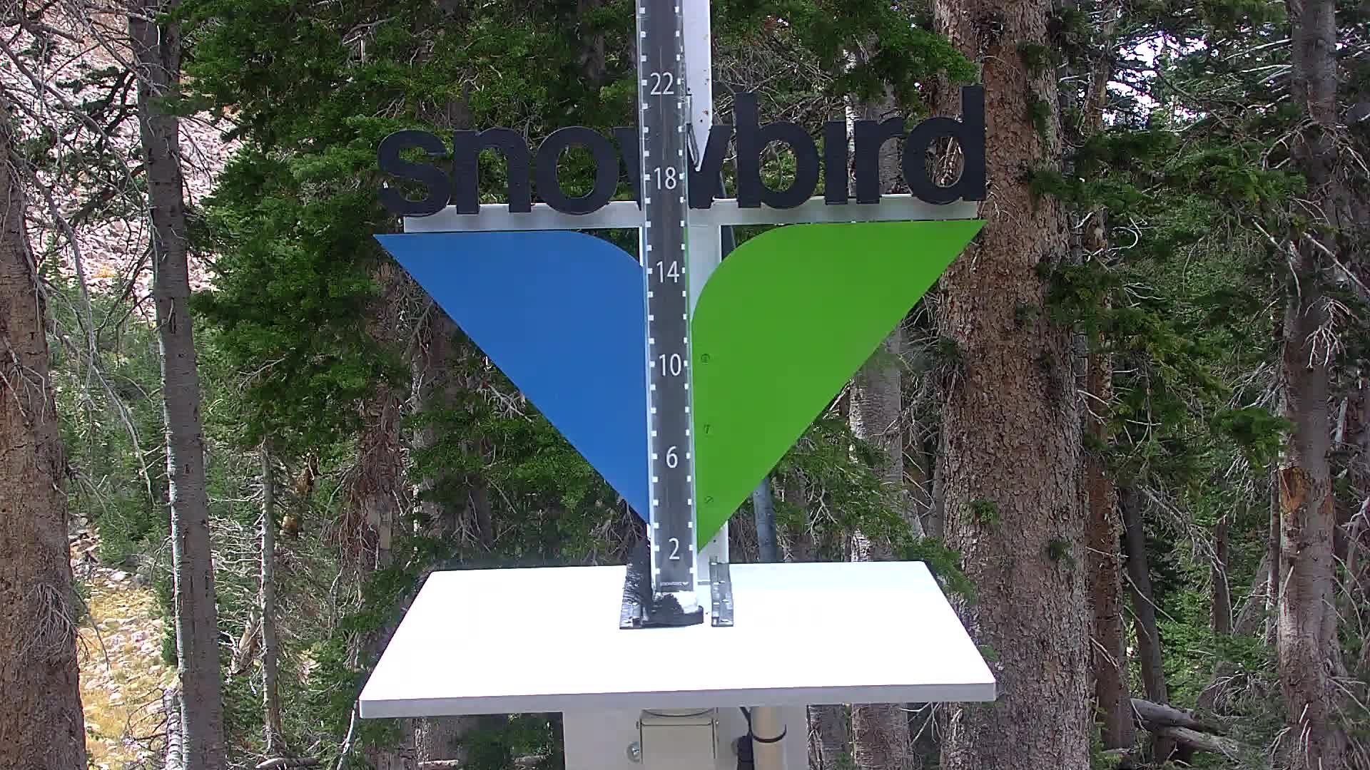 Snowbird snow stake cam