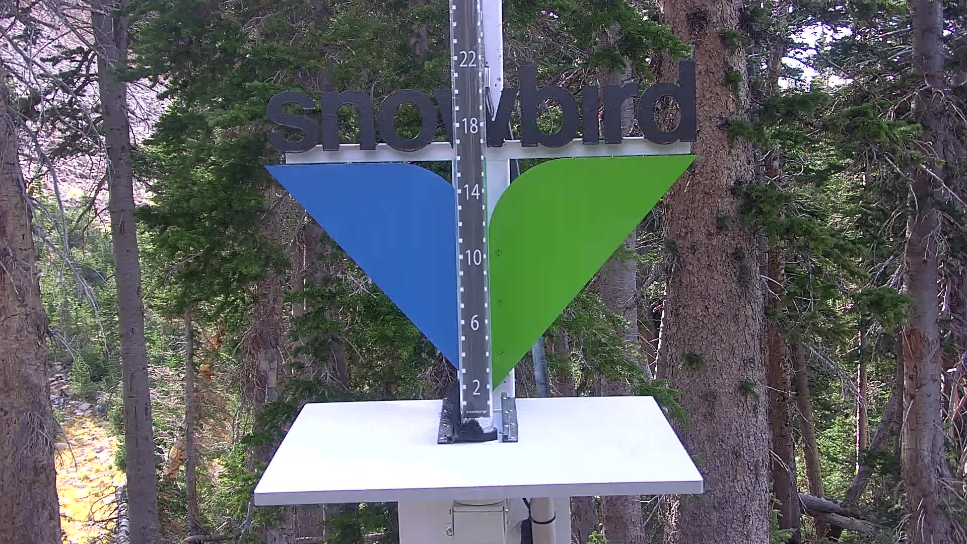 Snowbird snow stake cam
