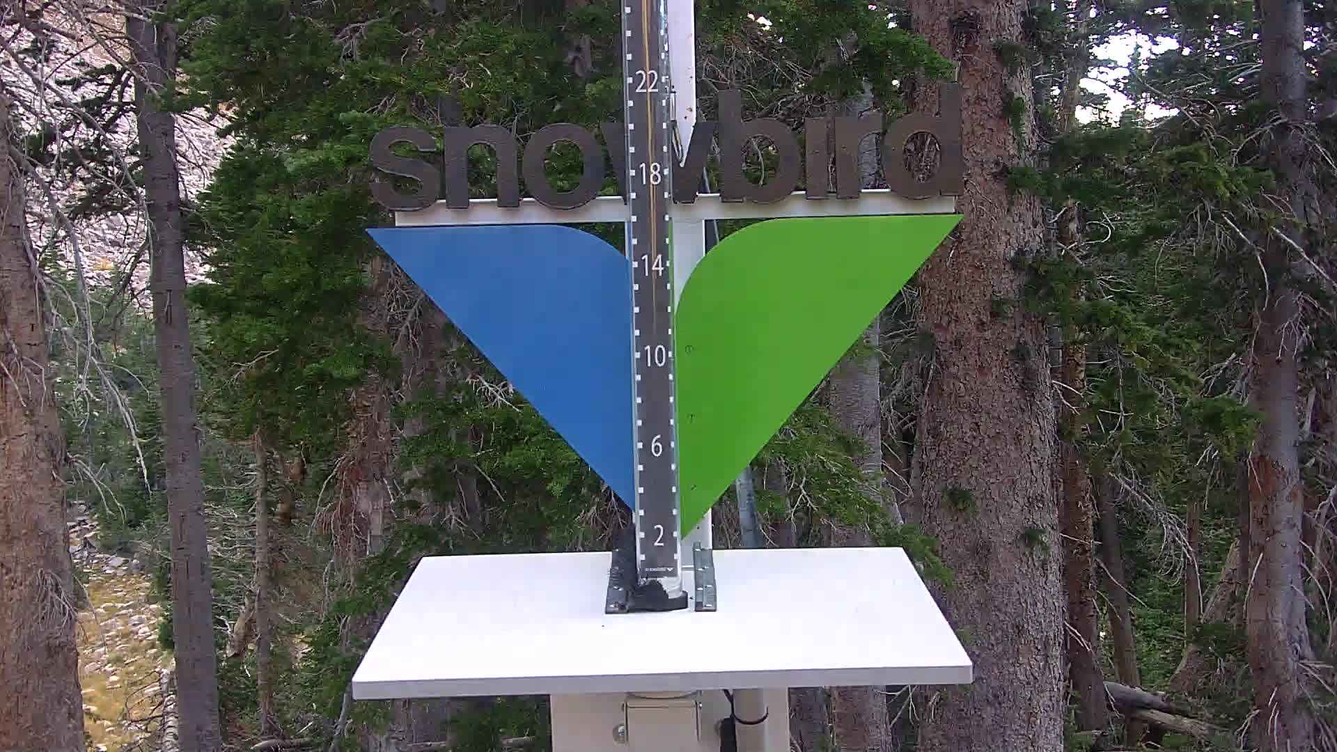 Snowbird snow stake cam