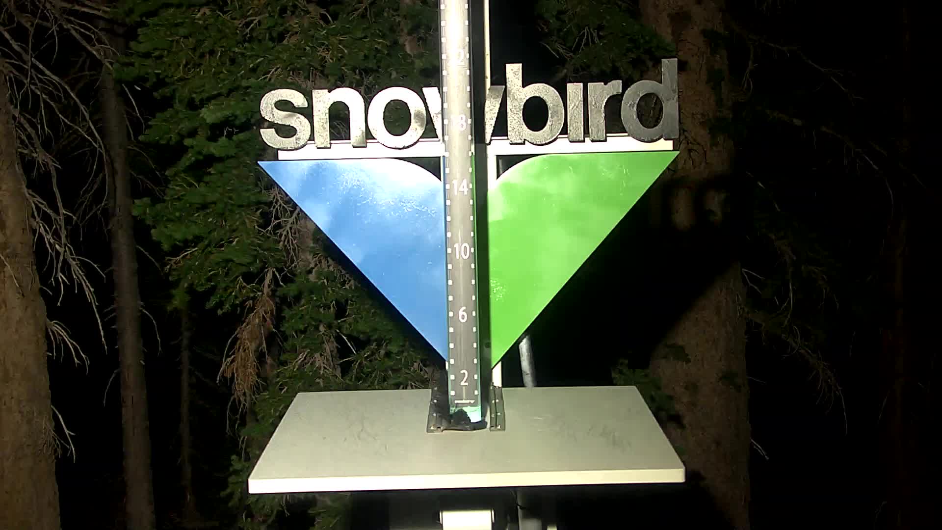 Snowbird snow stake cam