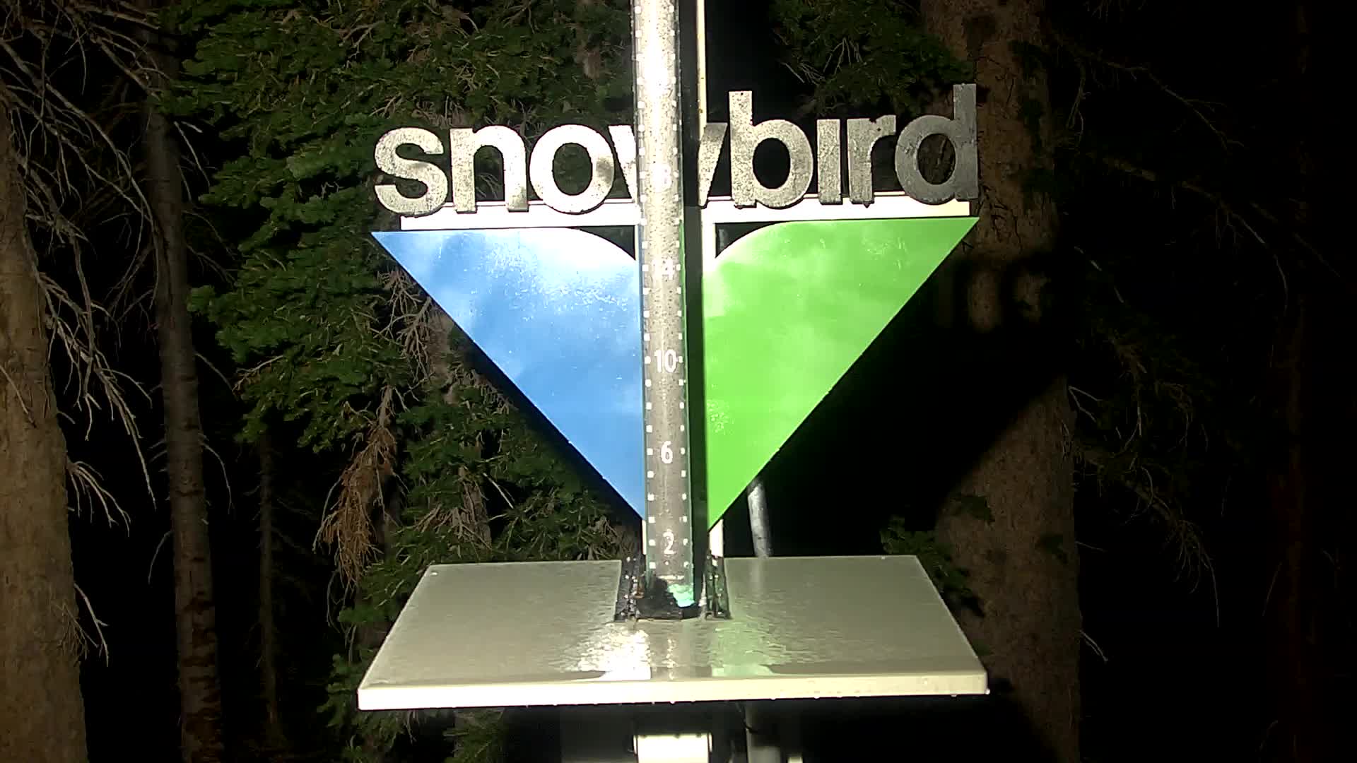 Snowbird snow stake cam