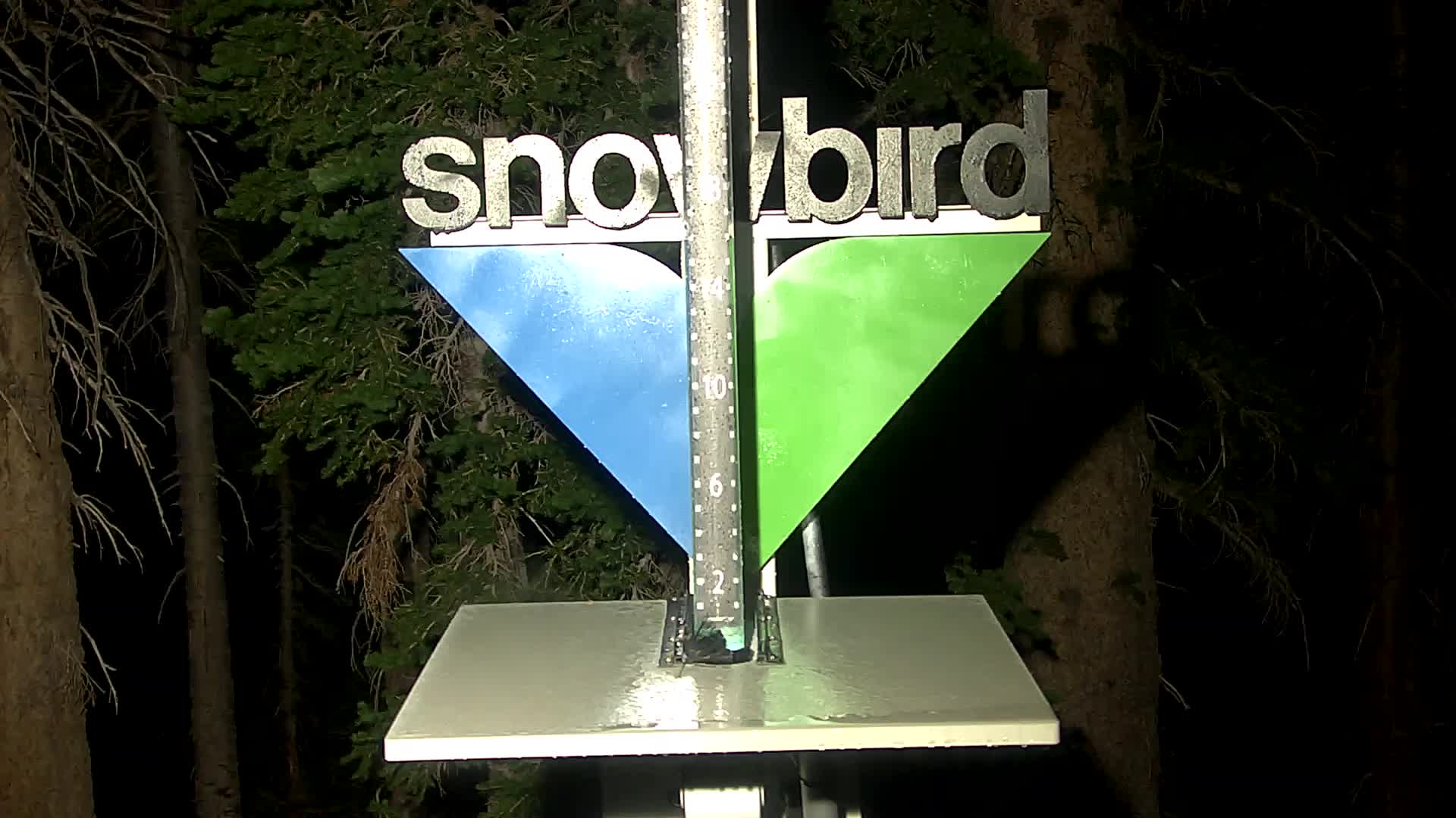 Snowbird snow stake cam