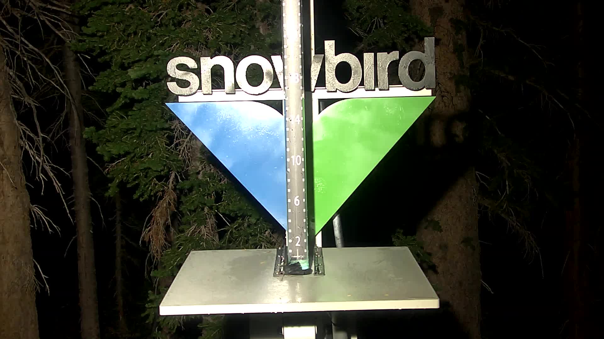 Snowbird snow stake cam