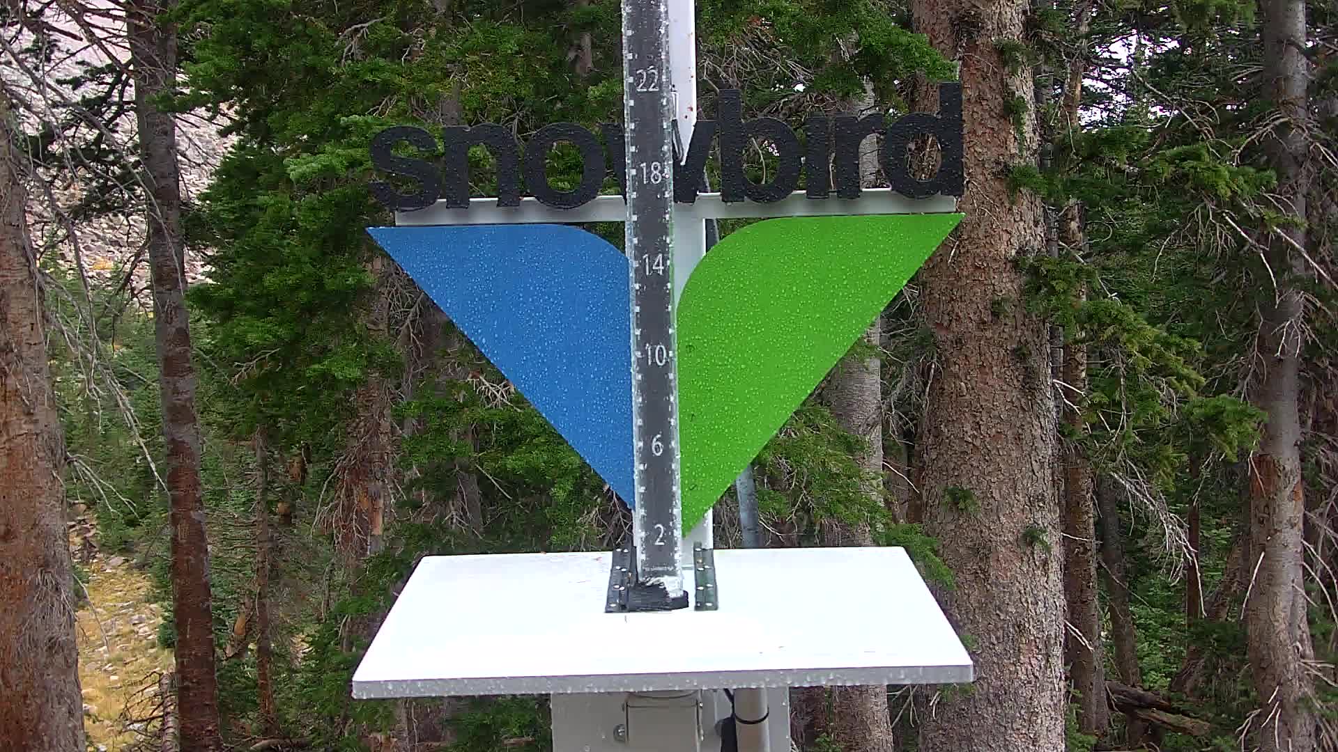 Snowbird snow stake cam