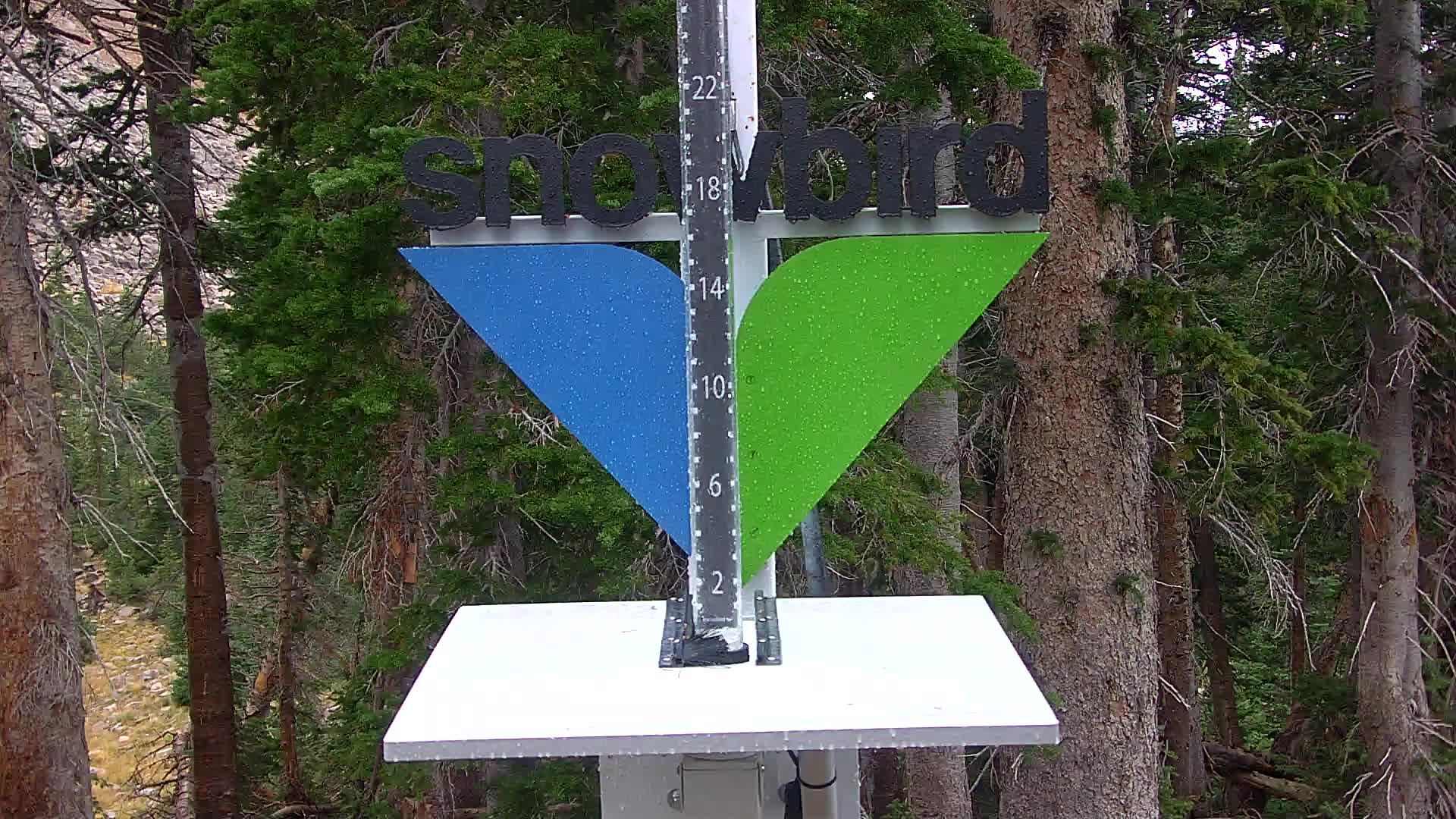 Snowbird snow stake cam