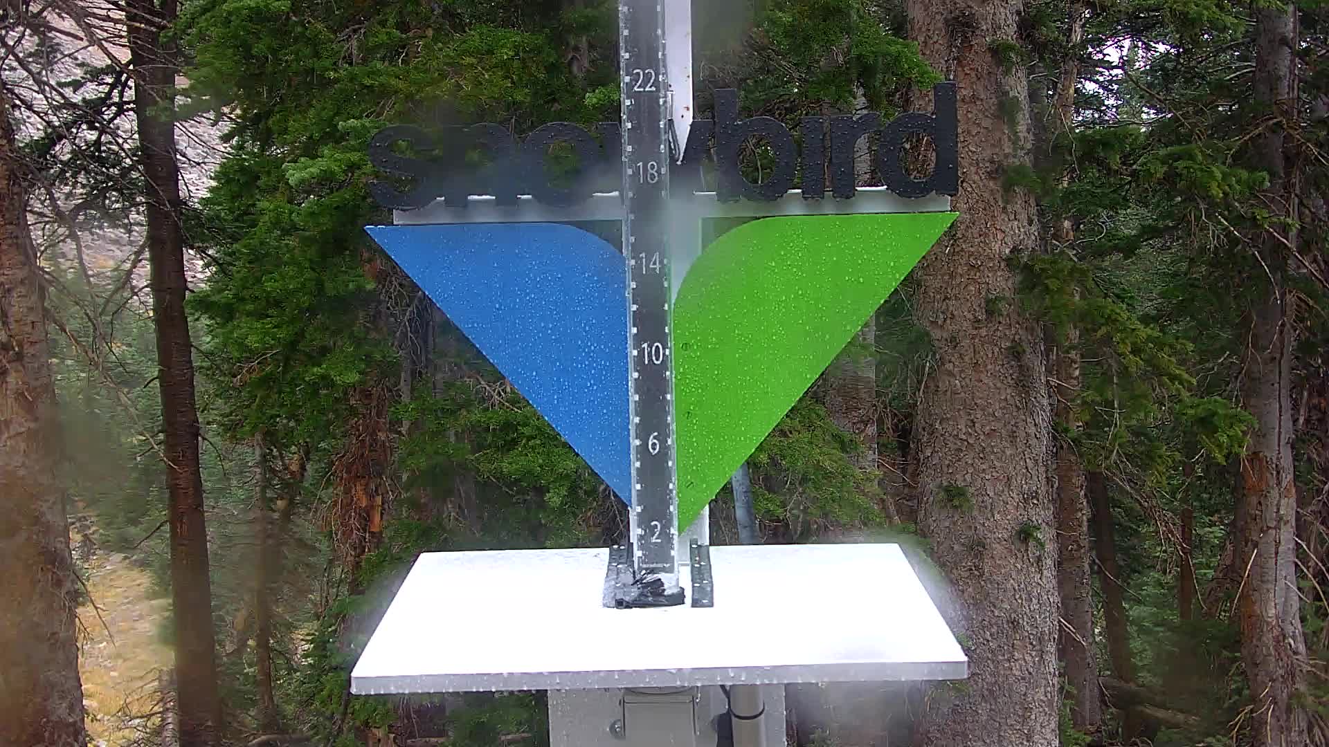 Snowbird snow stake cam