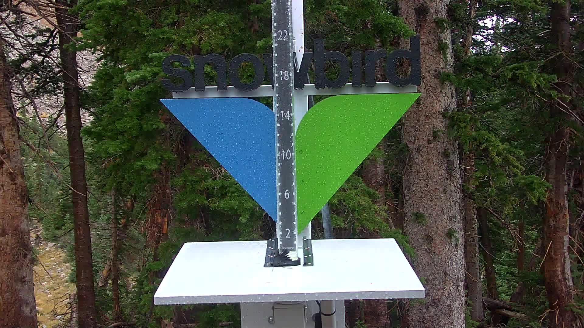 Snowbird snow stake cam