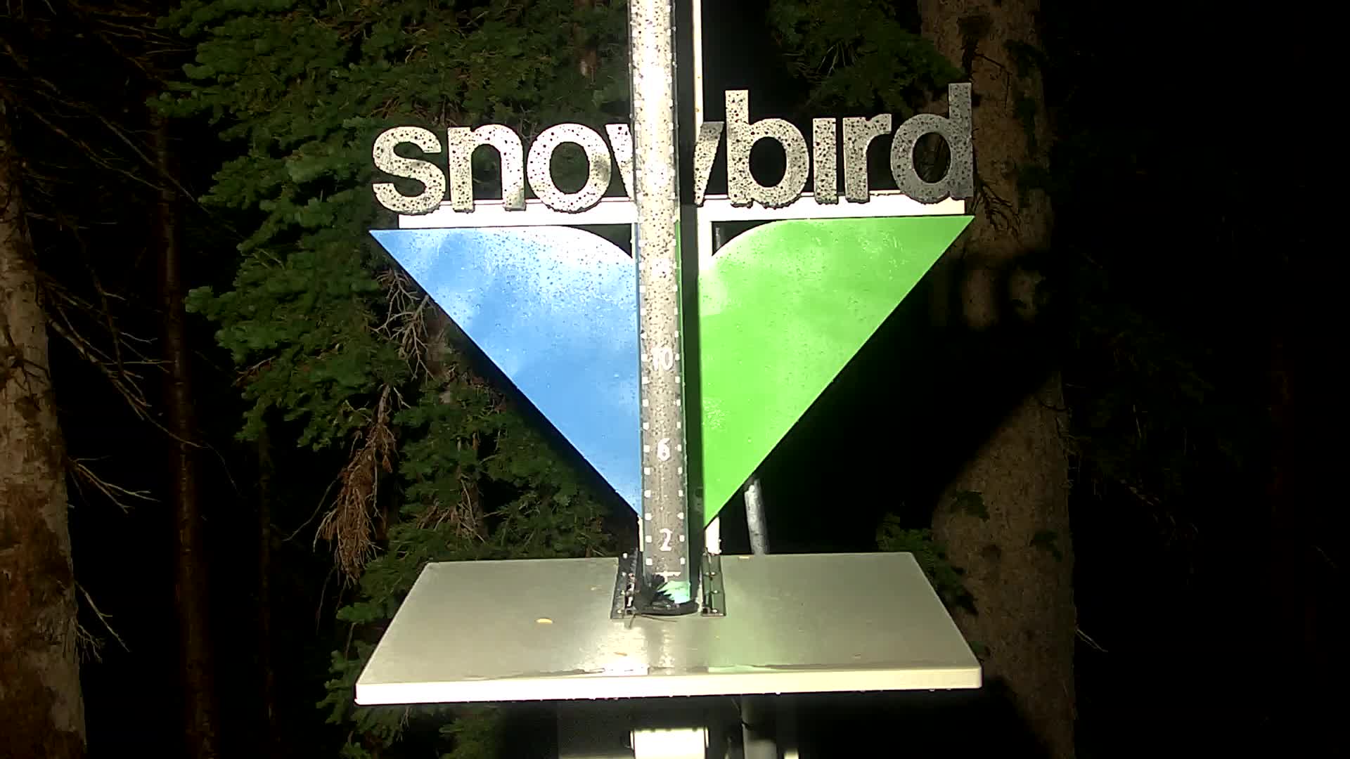 Snowbird snow stake cam