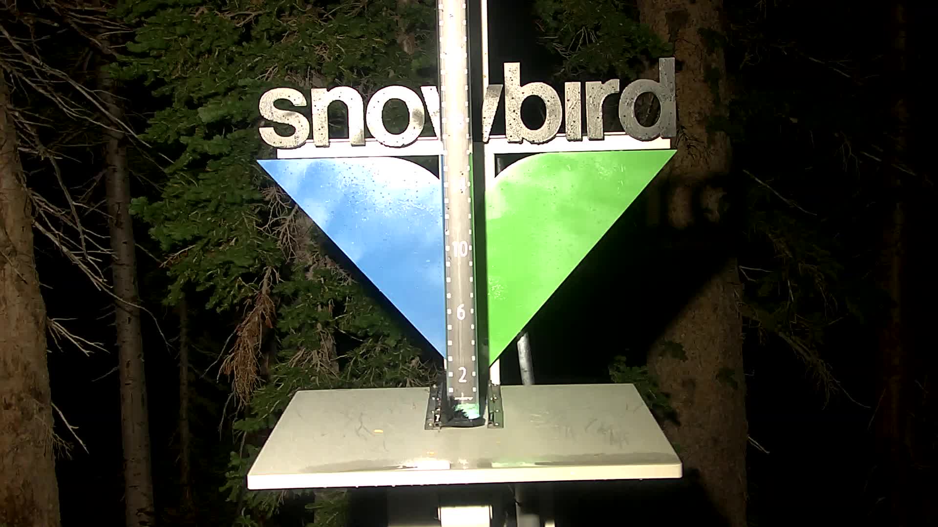 Snowbird snow stake cam