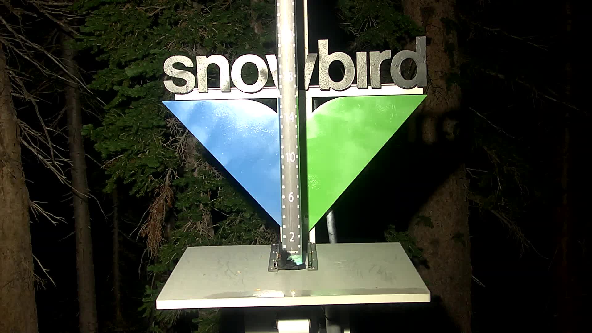 Snowbird snow stake cam