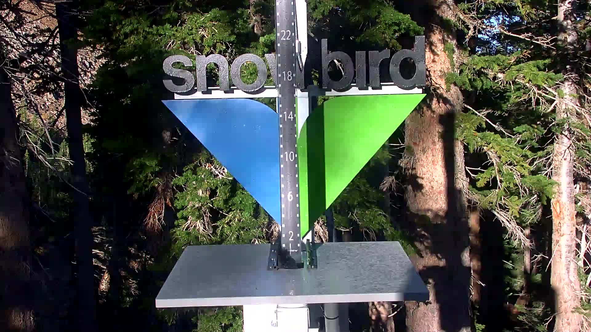 Snowbird snow stake cam