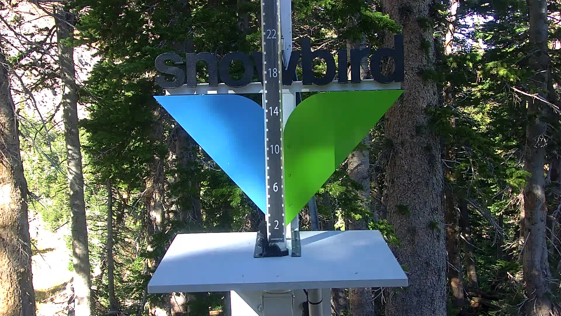 Snowbird snow stake cam