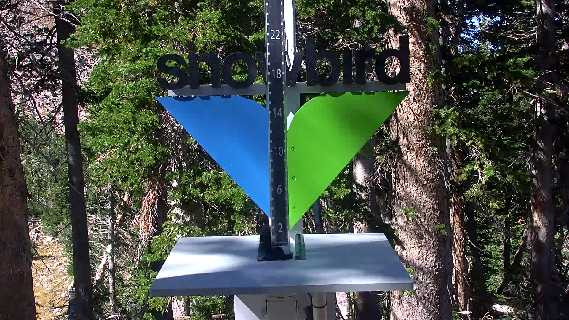 Snowbird snow stake cam