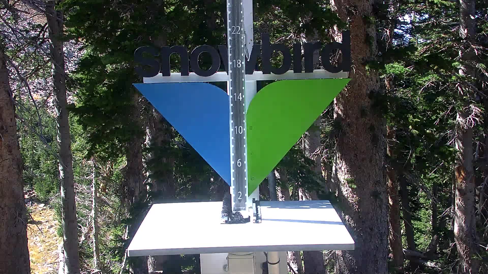 Snowbird snow stake cam