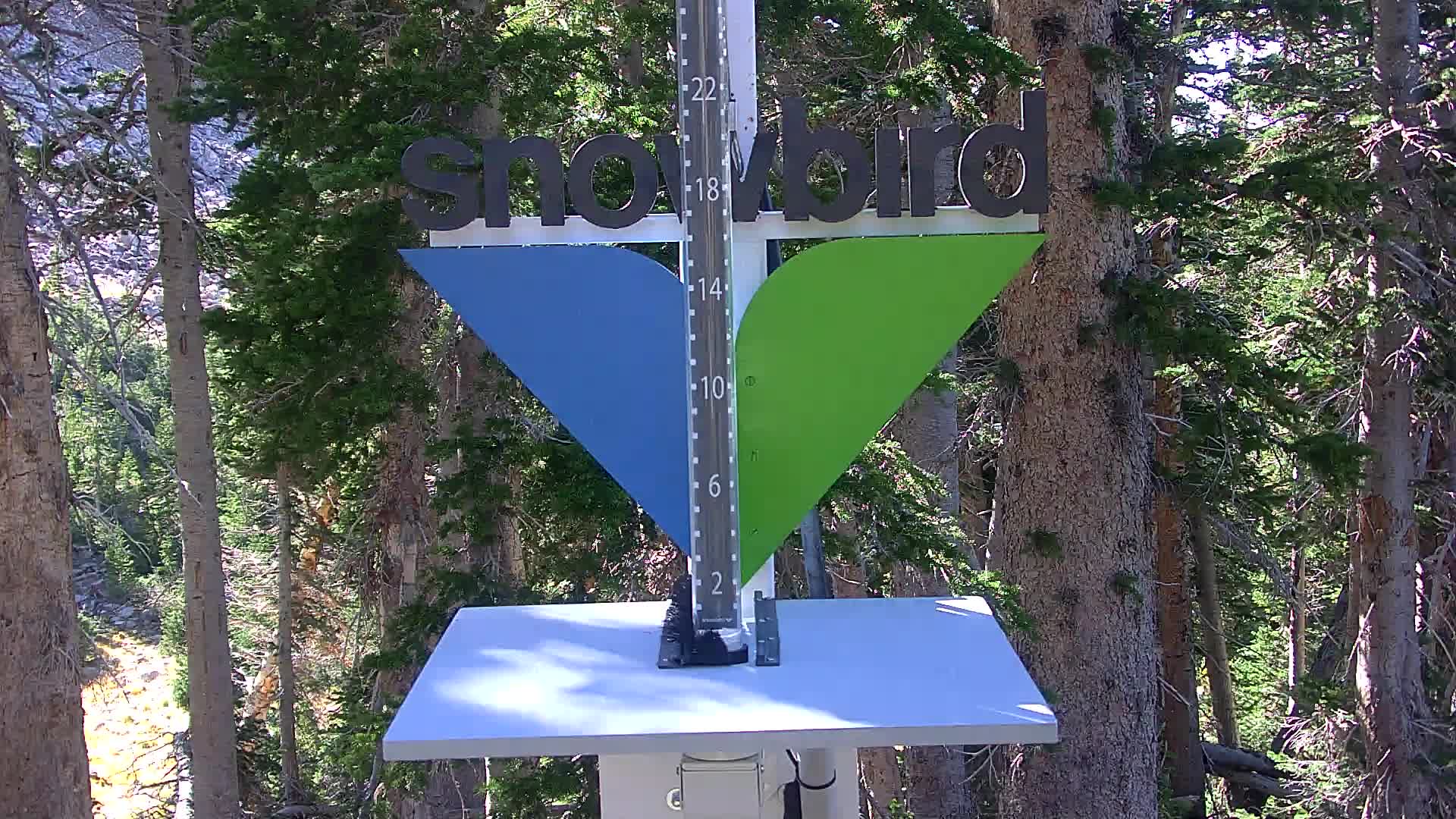 Snowbird snow stake cam