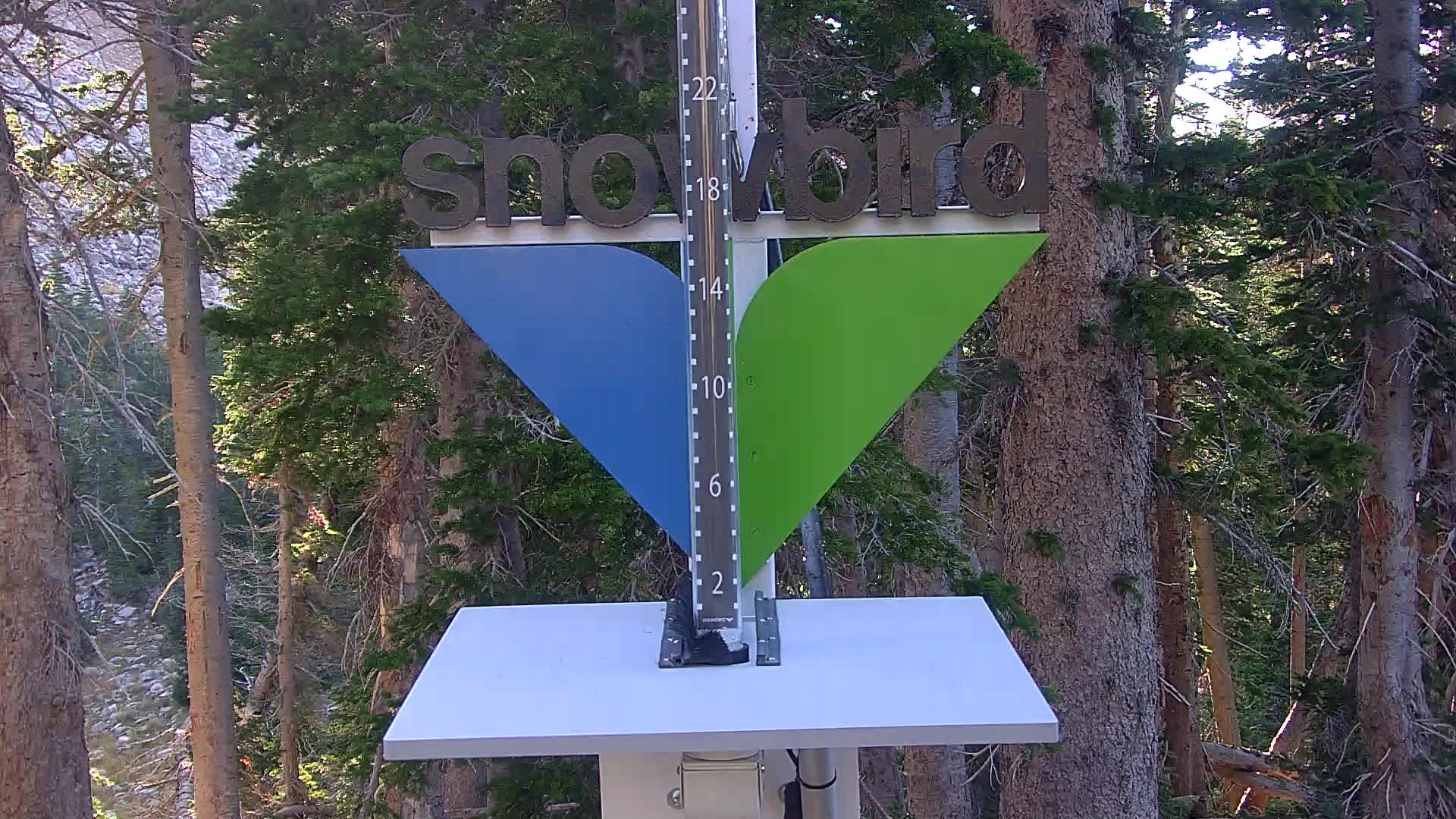 Snowbird snow stake cam