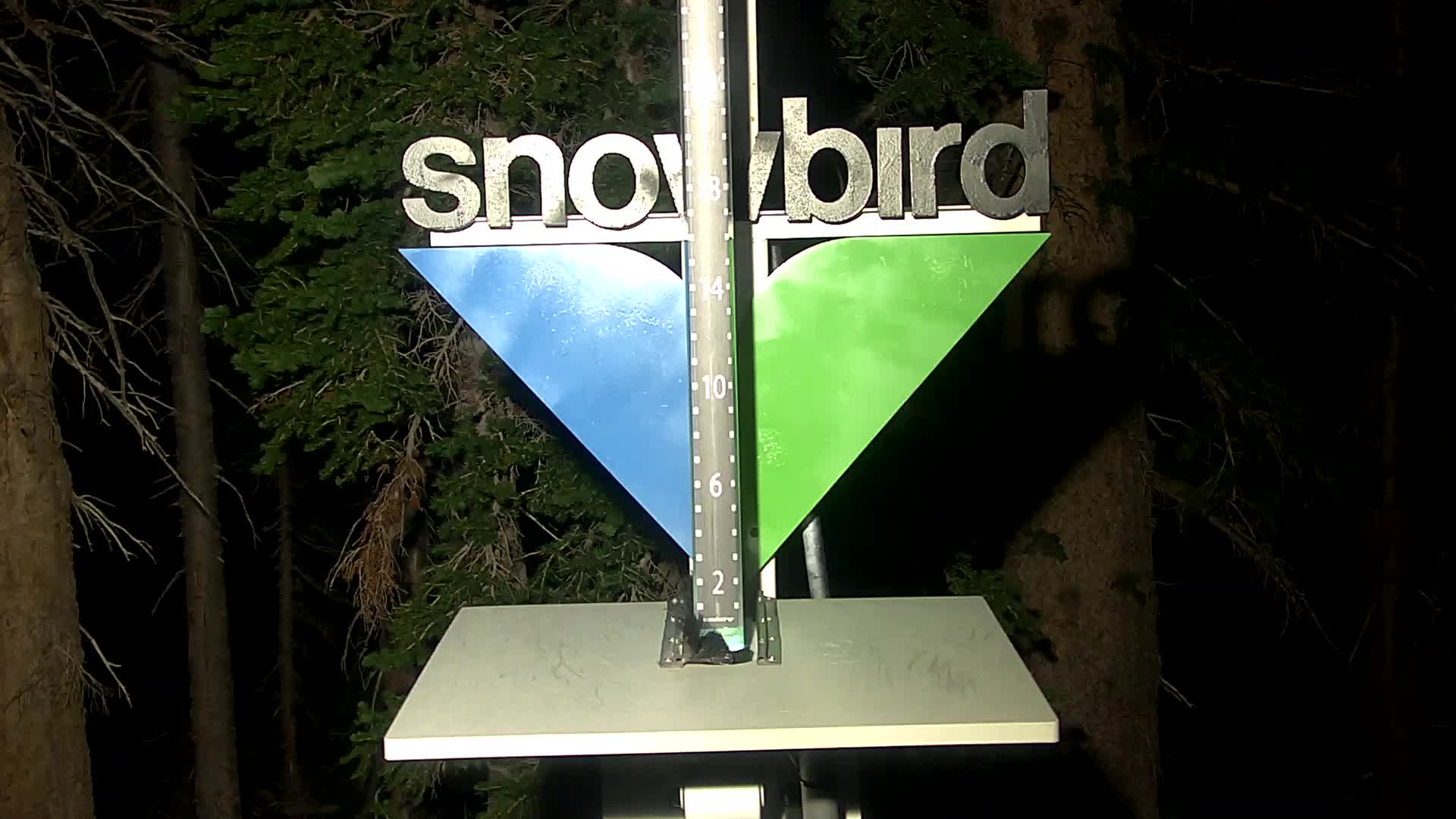 Snowbird snow stake cam