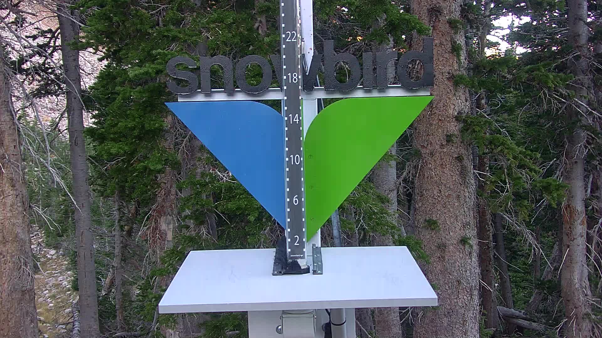 Snowbird snow stake cam