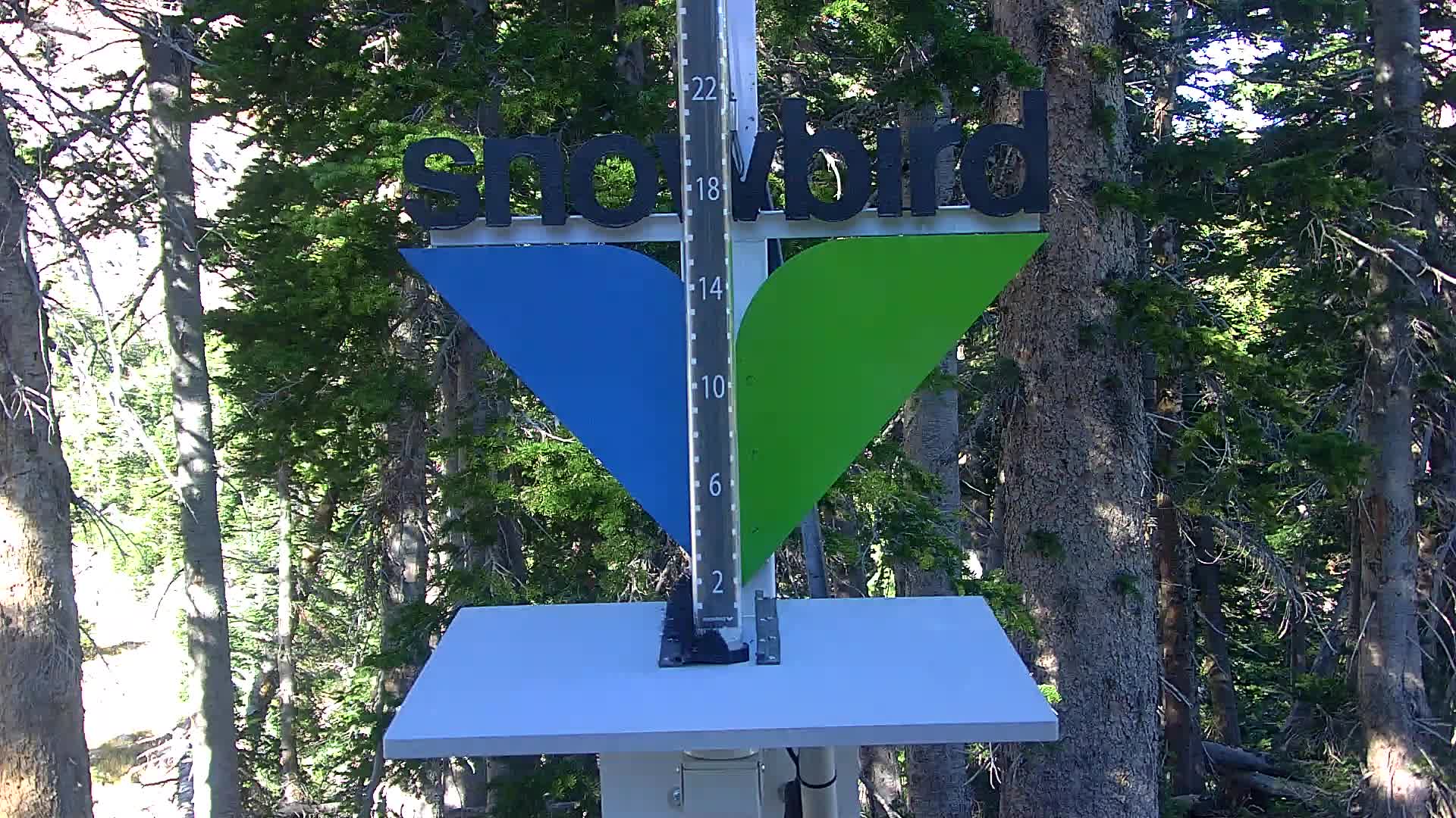 Snowbird snow stake cam