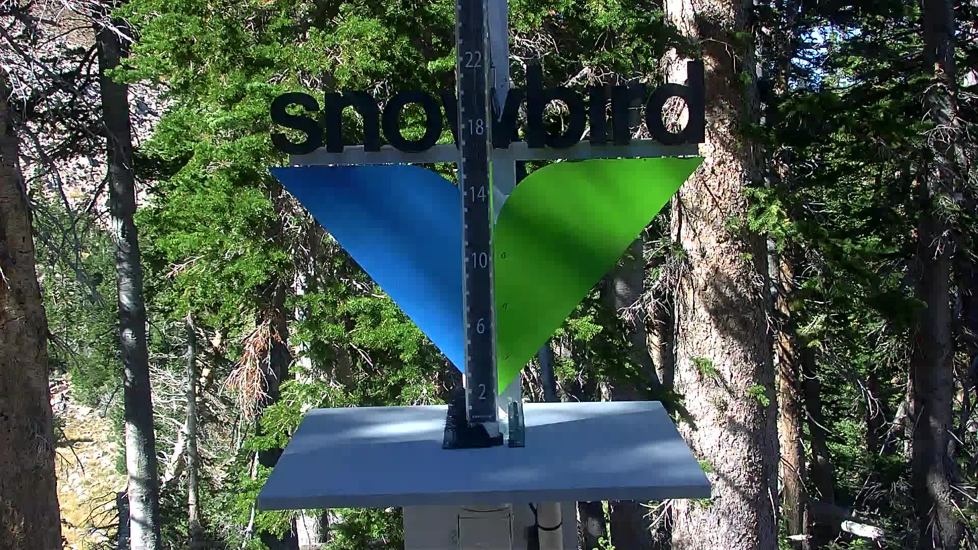 Snowbird snow stake cam